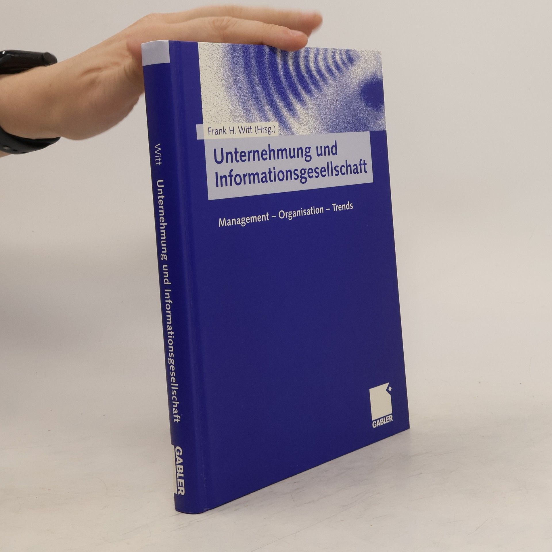 Frank H. Witt Unternehmung und Informationsgesellschaft