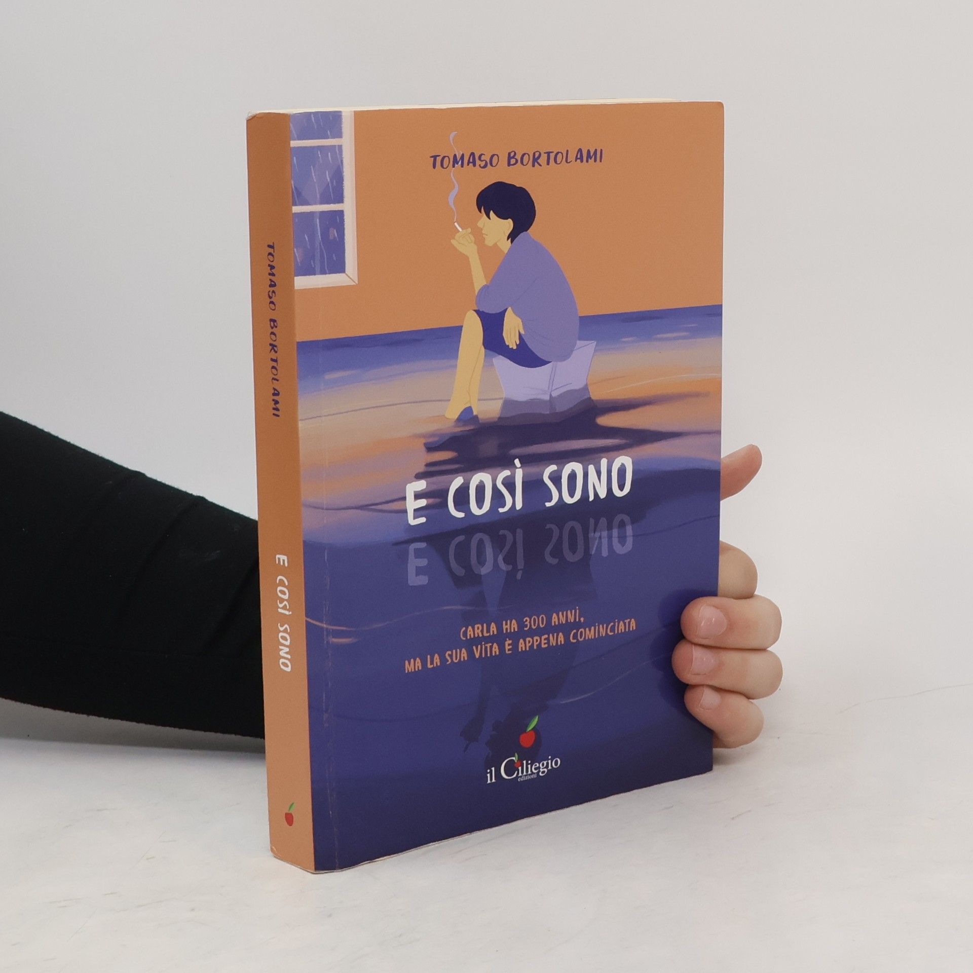 Tomaso Bortolami E così sono