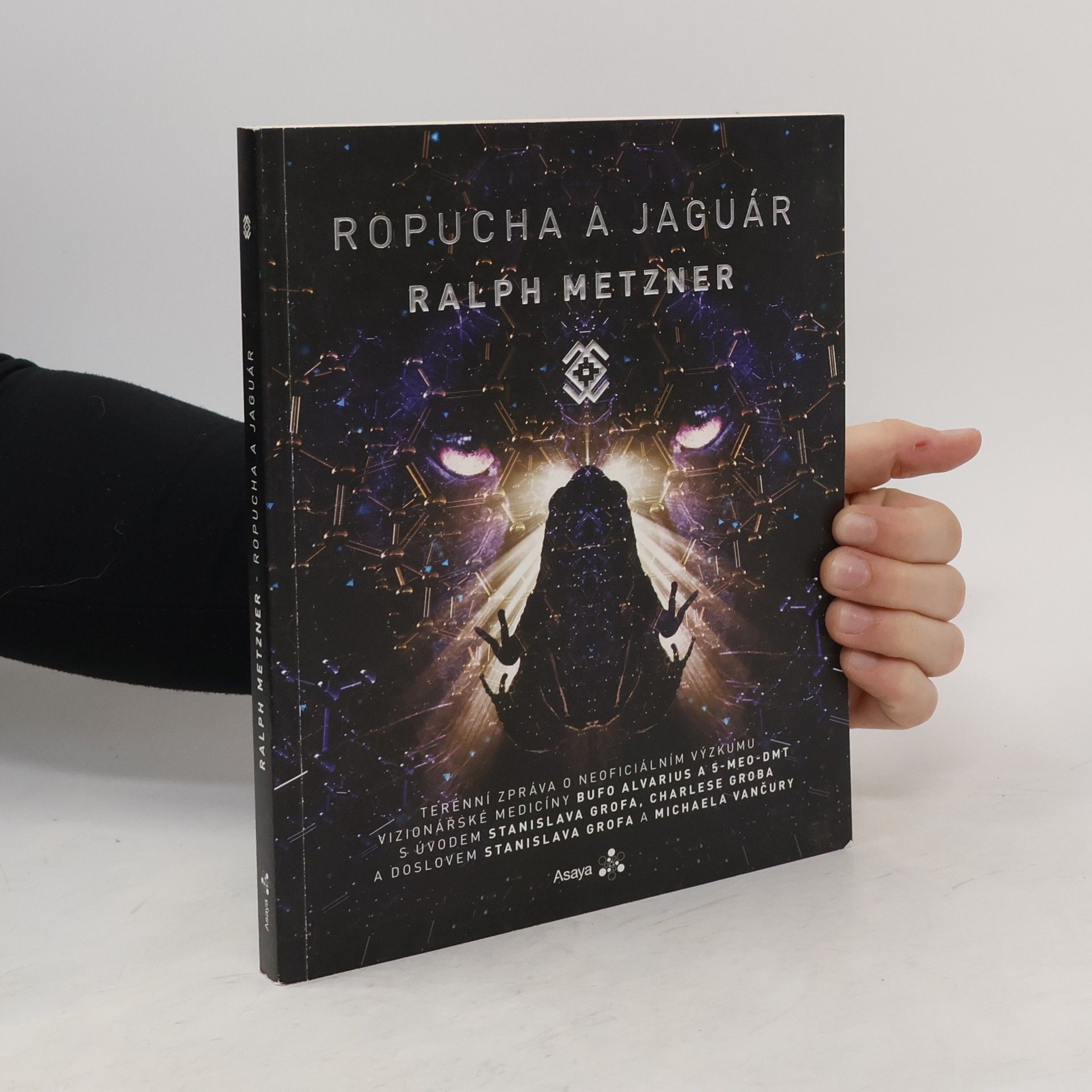 Ralph Metzner Ropucha a jaguár