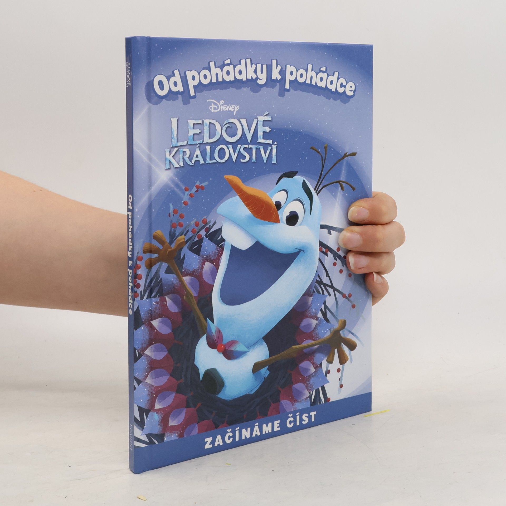 Amy Sky Koster Od pohádky k pohádce. Ledové království
