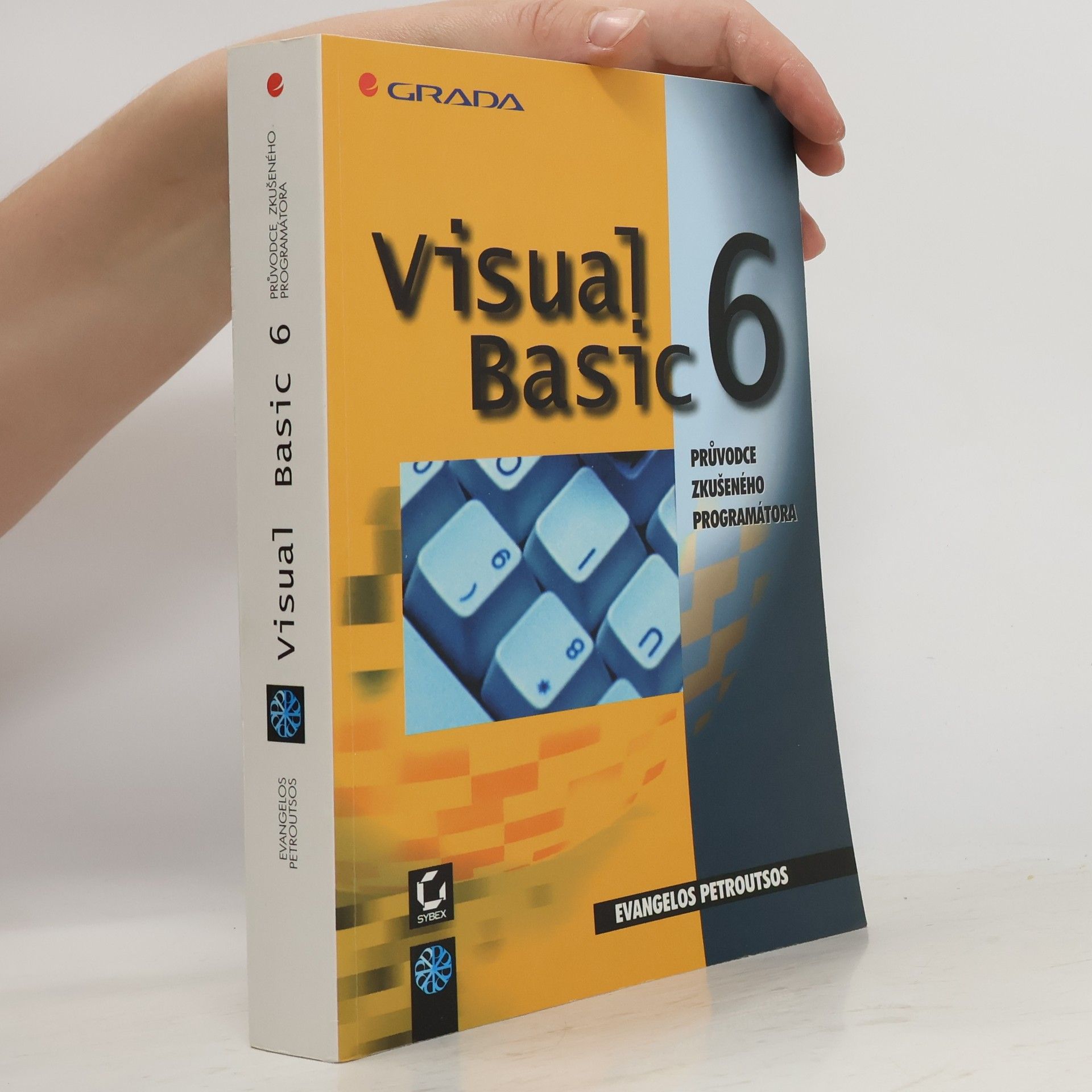 Evangelos Petroutsos Visual Basic 6 : průvodce zkušeného programátora