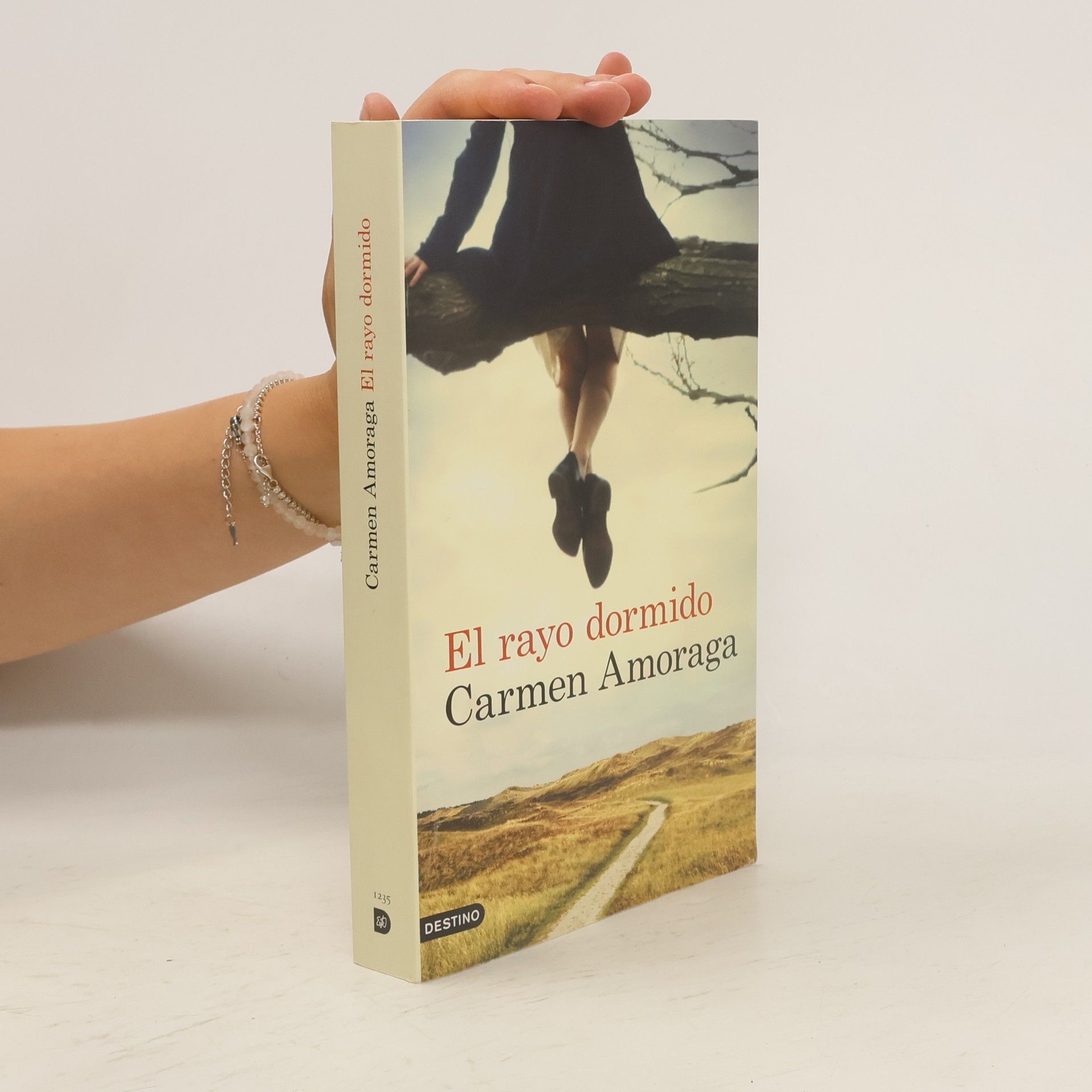 Carmen Amoraga El rayo dormido