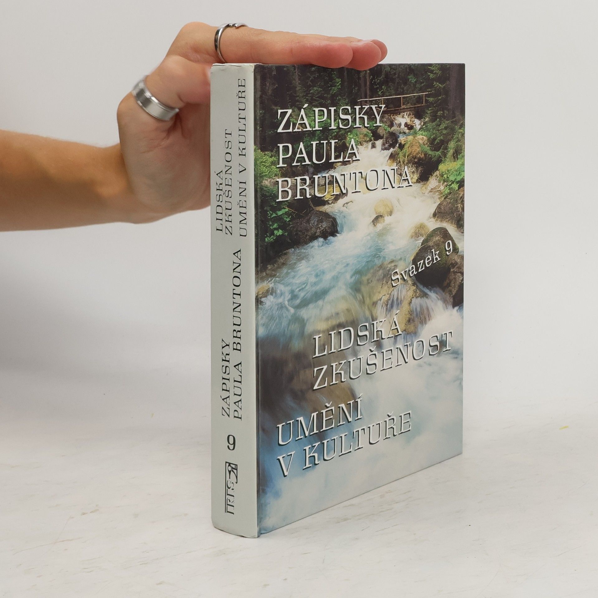 Paul Brunton Zápisky Paula Bruntona 9. Lidská zkušenost. Umění v kultuře