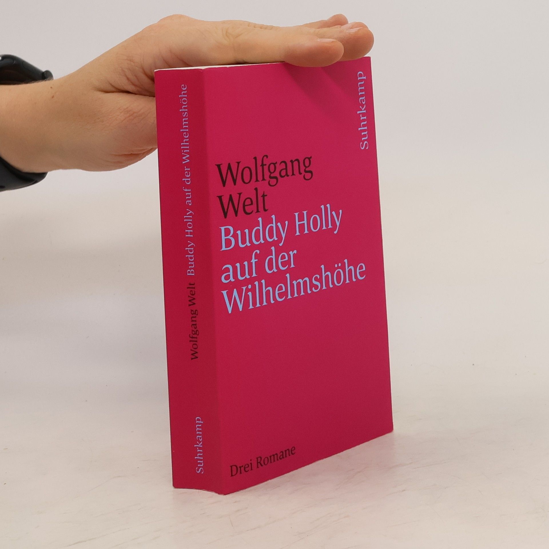 Wolfgang Welt Buddy Holly auf der Wilhelmshöhe