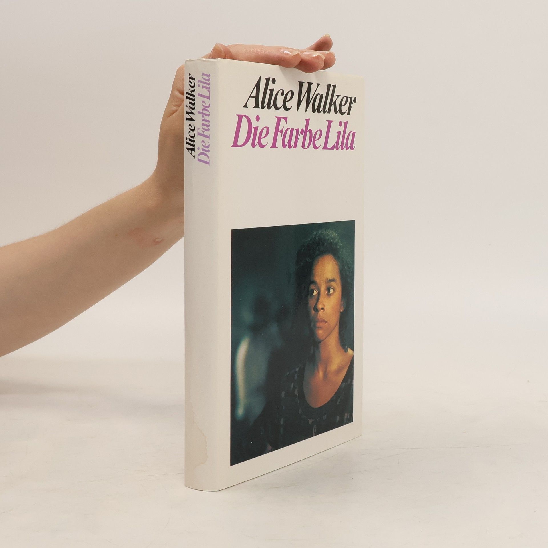 Alice Malsenior Walkerová Die Farbe Lila