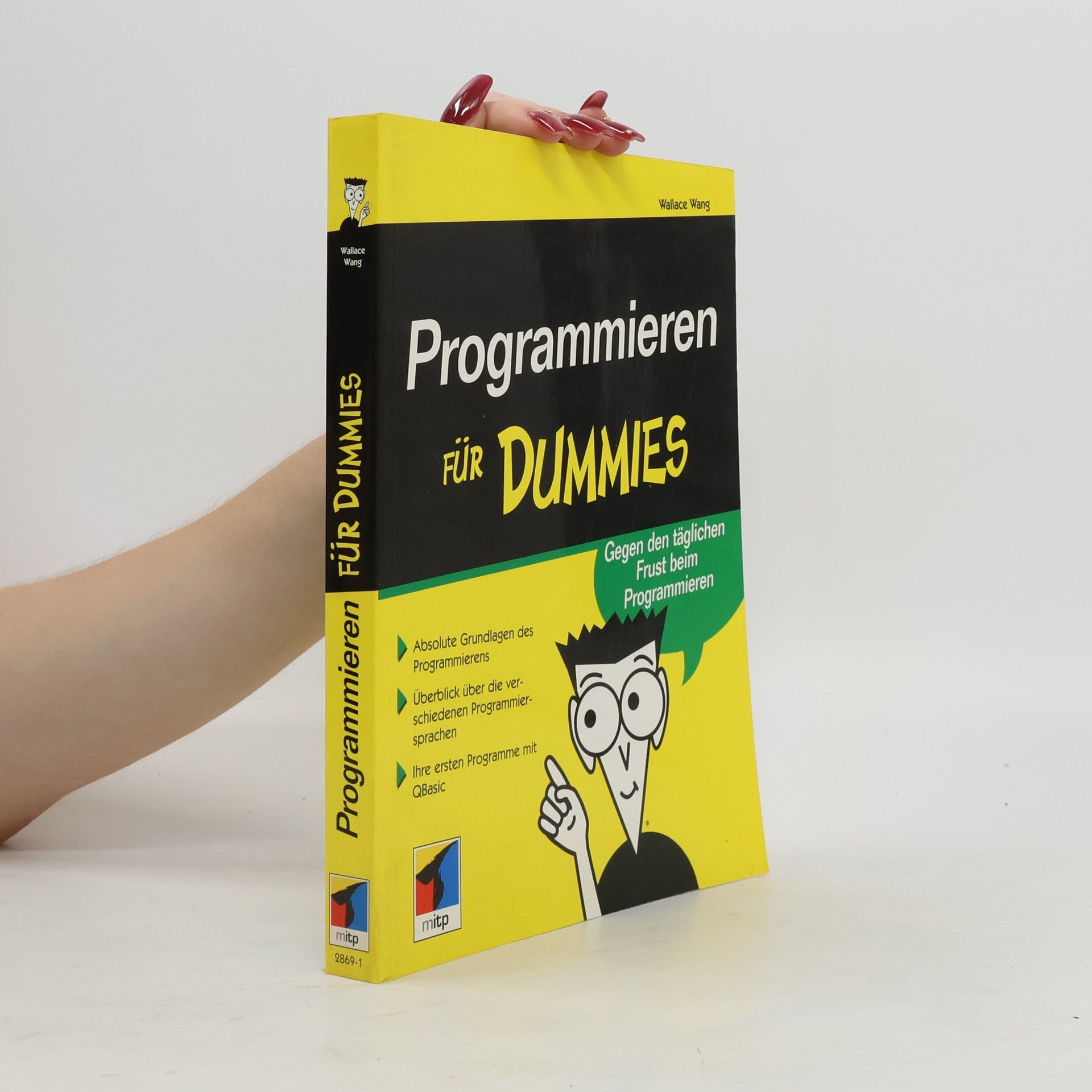Wallace Wang Programmieren für Dummies