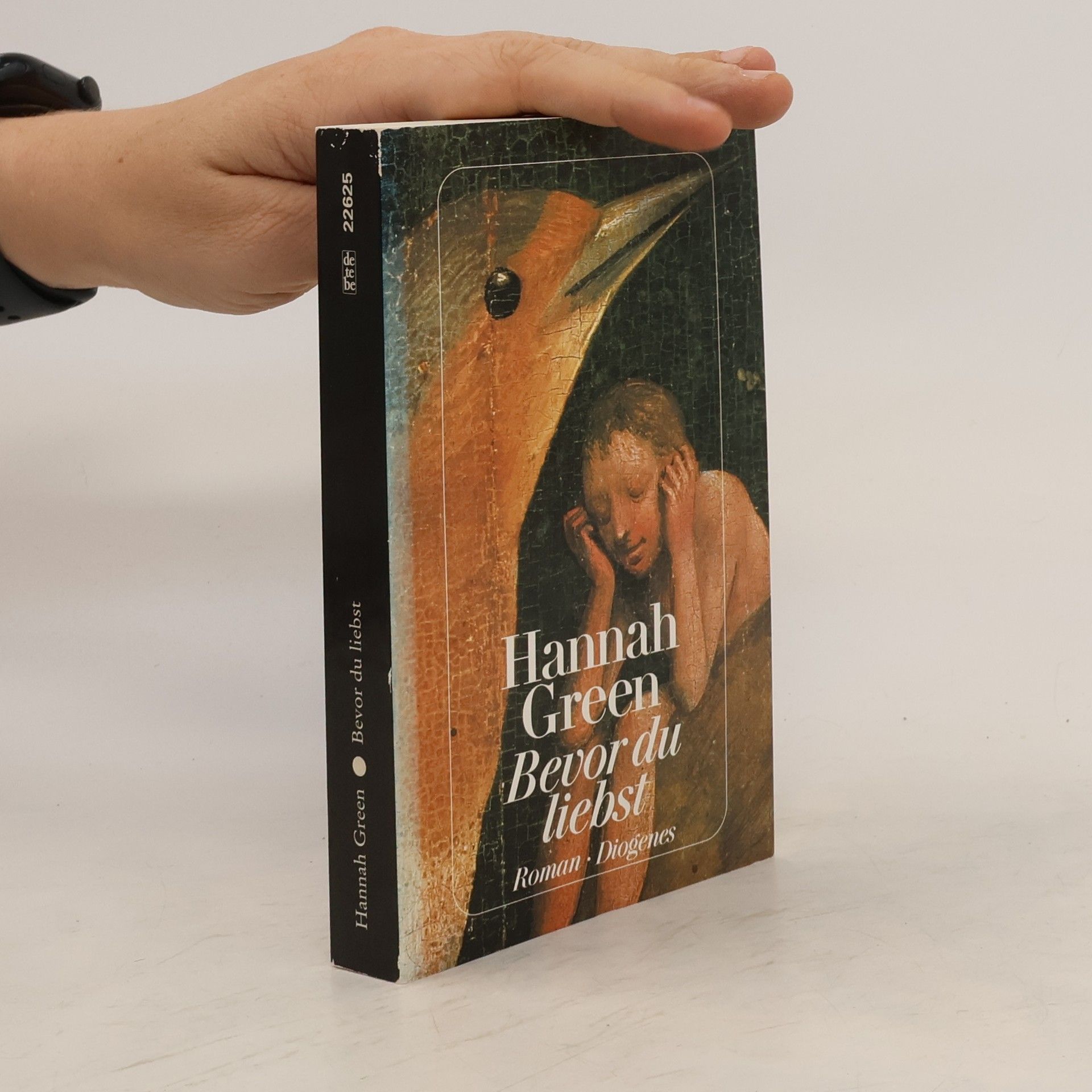 Hannah Green Bevor du liebst