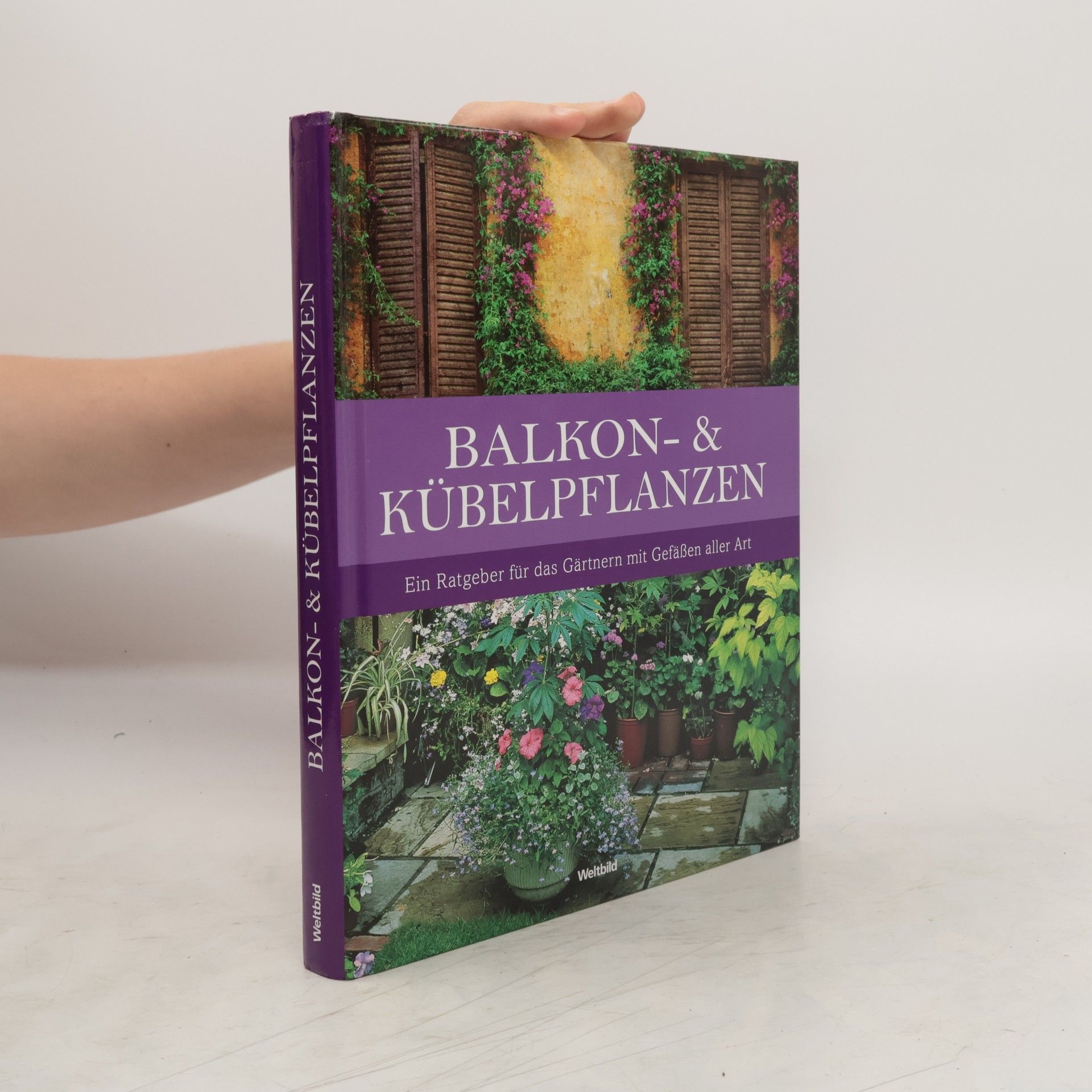 Collectif d'auteurs Balkon- und Kübelpflanzen