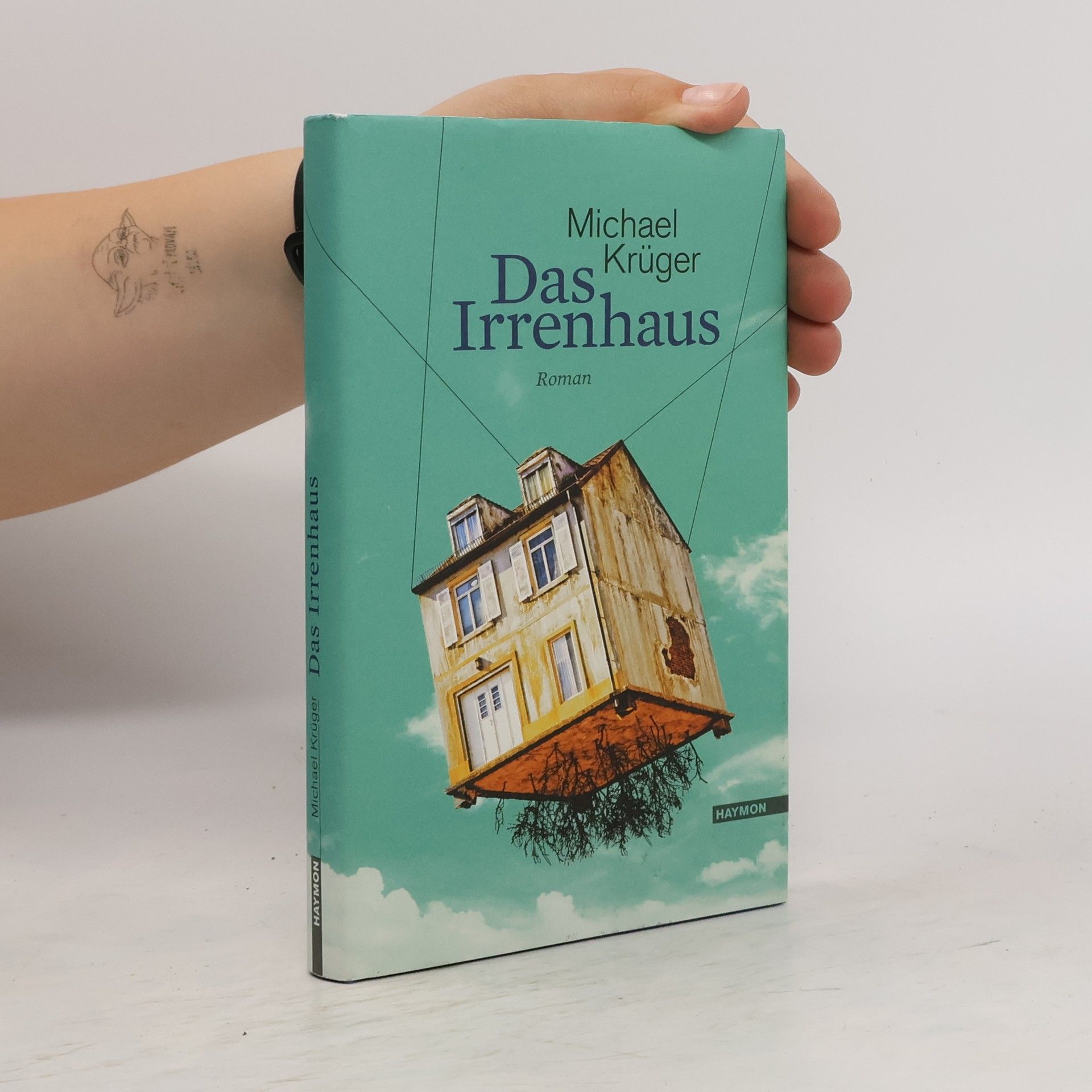 Michael Krüger Das Irrenhaus