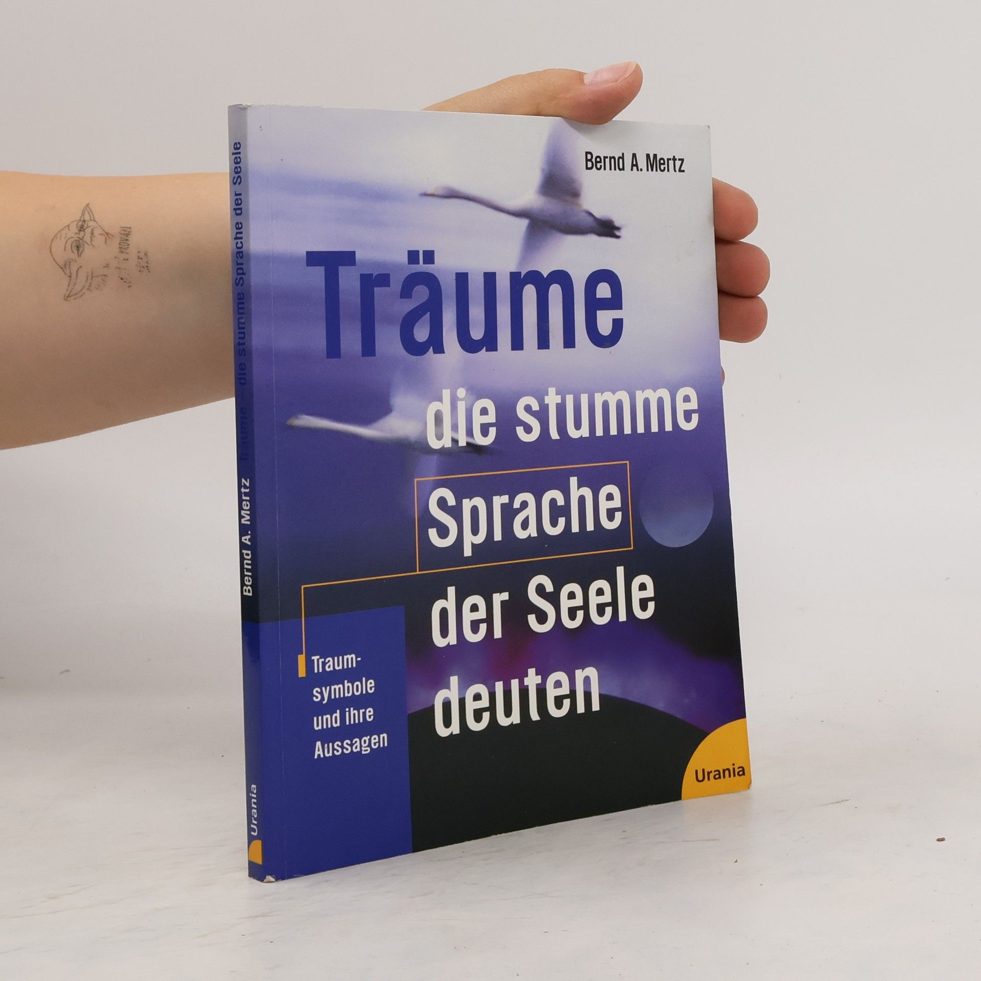 Bernd A. Mertz Träume