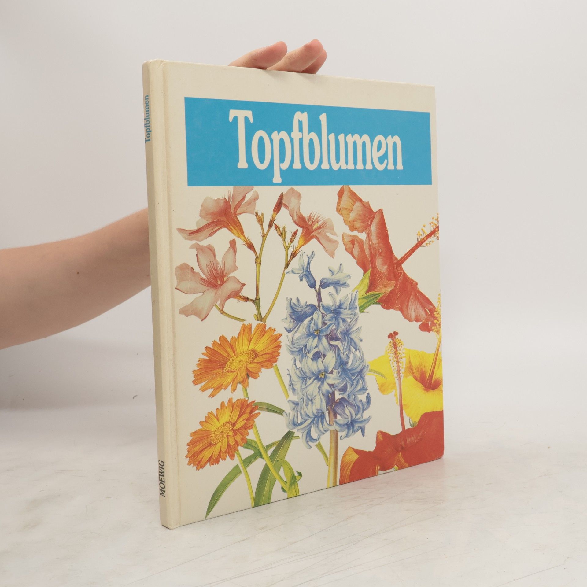 Doris Gottwald Topfblumen