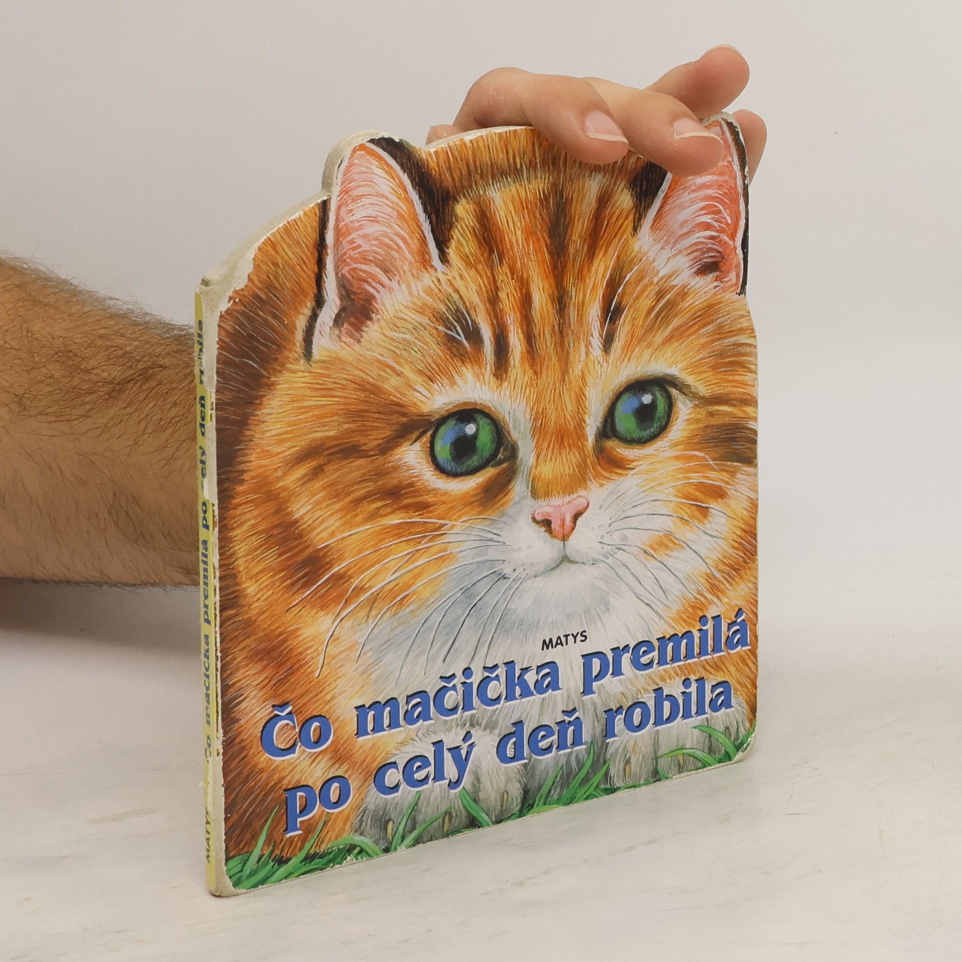 Sibyla Mislovičová Čo mačička premilá po celý deň robila