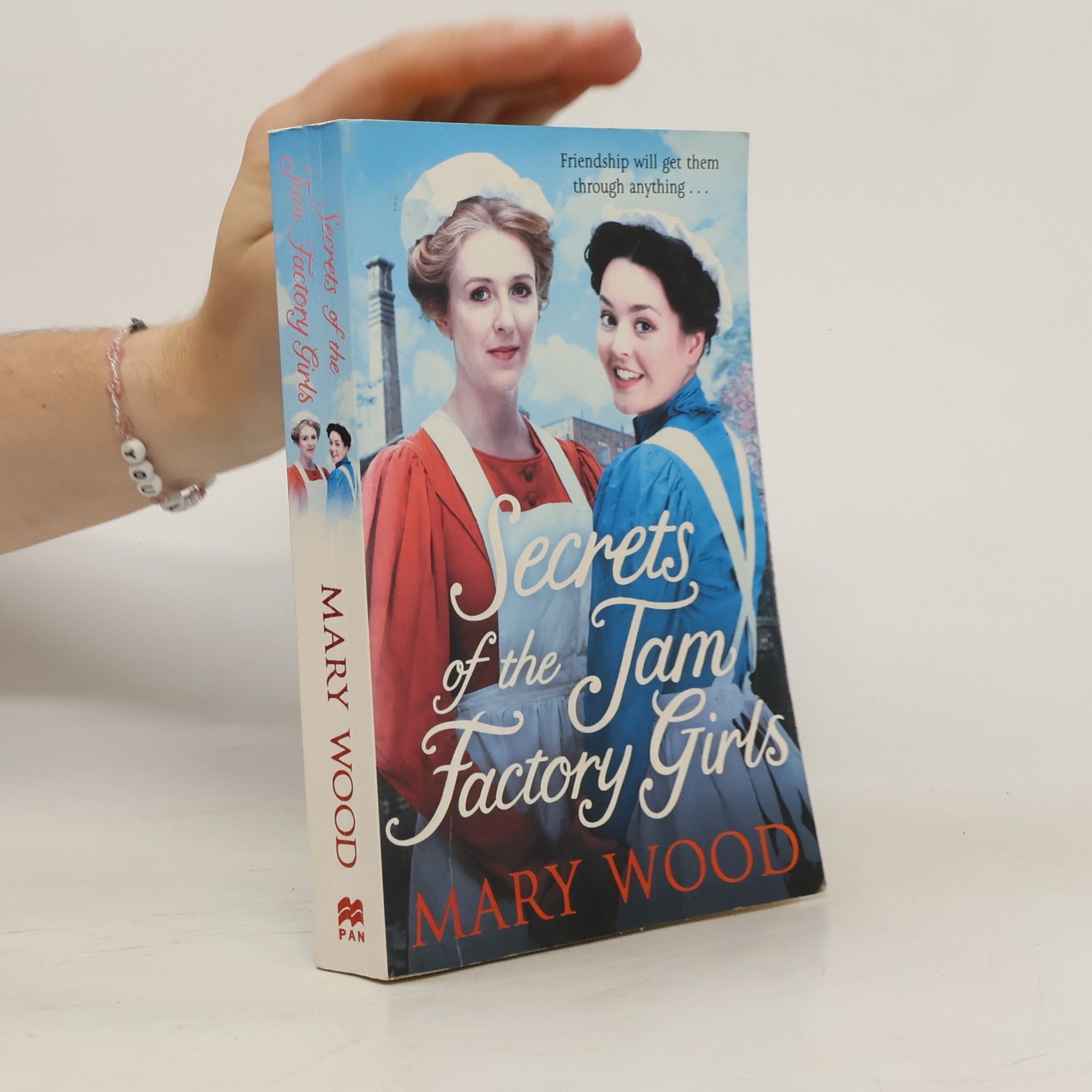 Mary Chr. Wood Secrets of the Jam Factory Girls