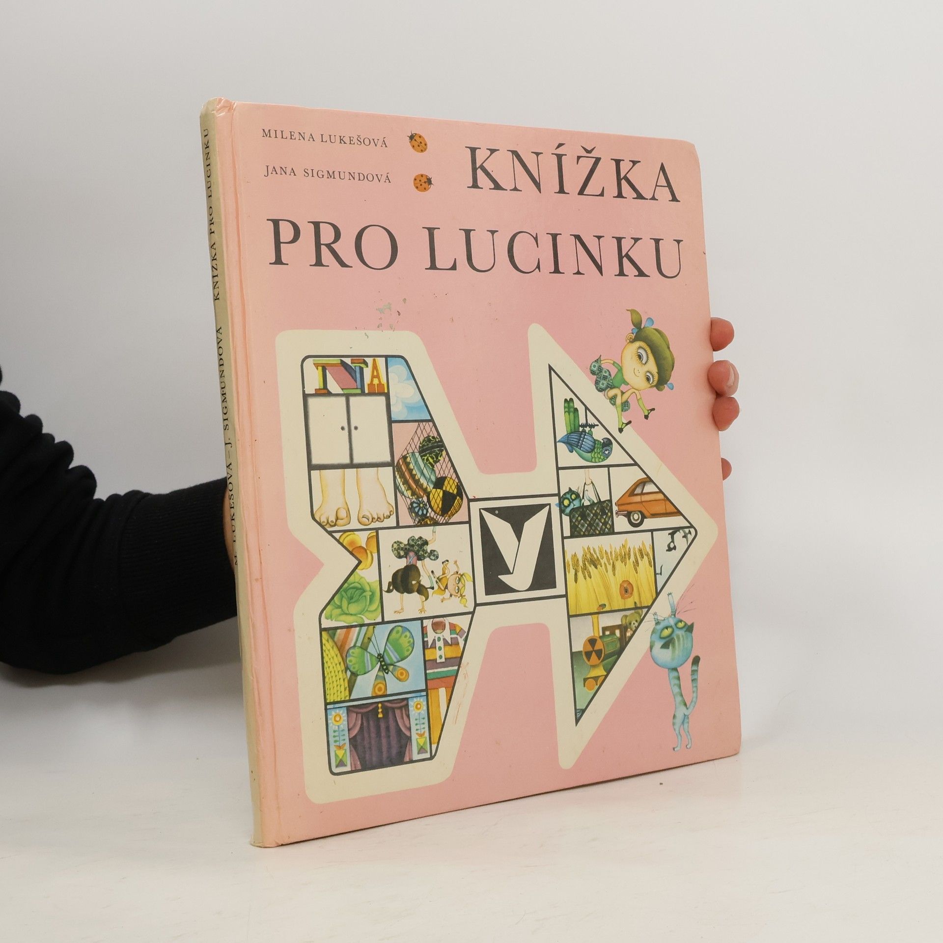 Jana Sigmundová Knížka pro Lucinku