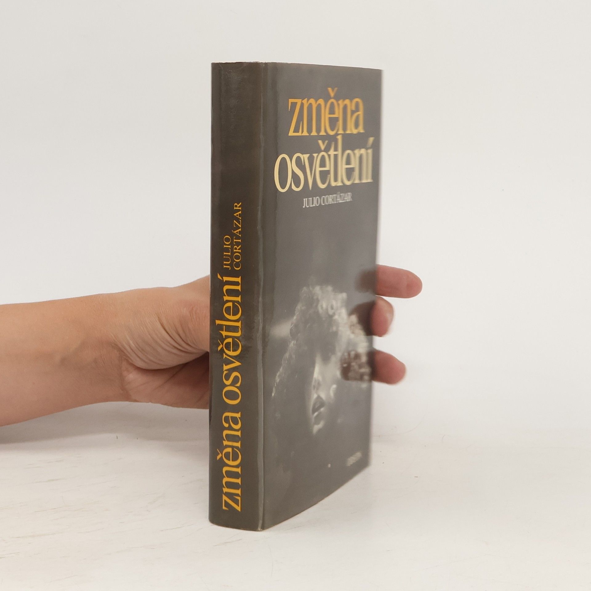 Julio Cortázar Změna osvětlení