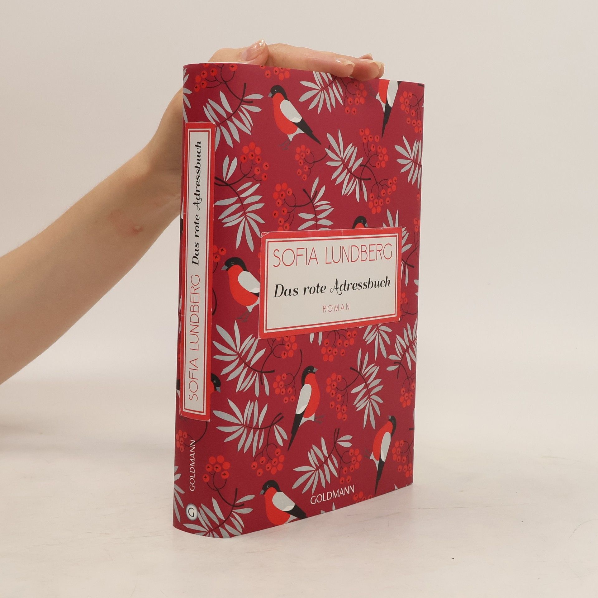 Sofia Lundberg Das rote Adressbuch