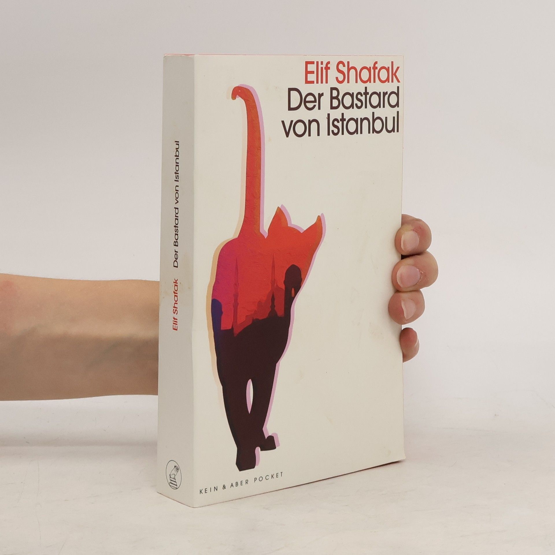 Elif Shafak Der Bastard von Istanbul