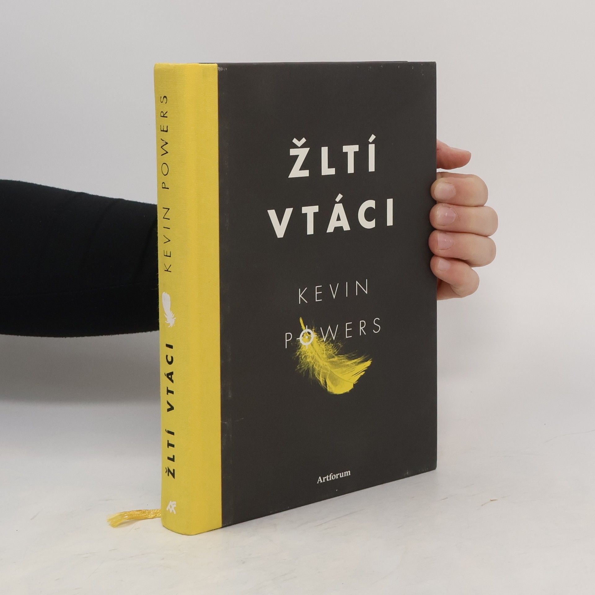 Kevin Powers Žltí vtáci
