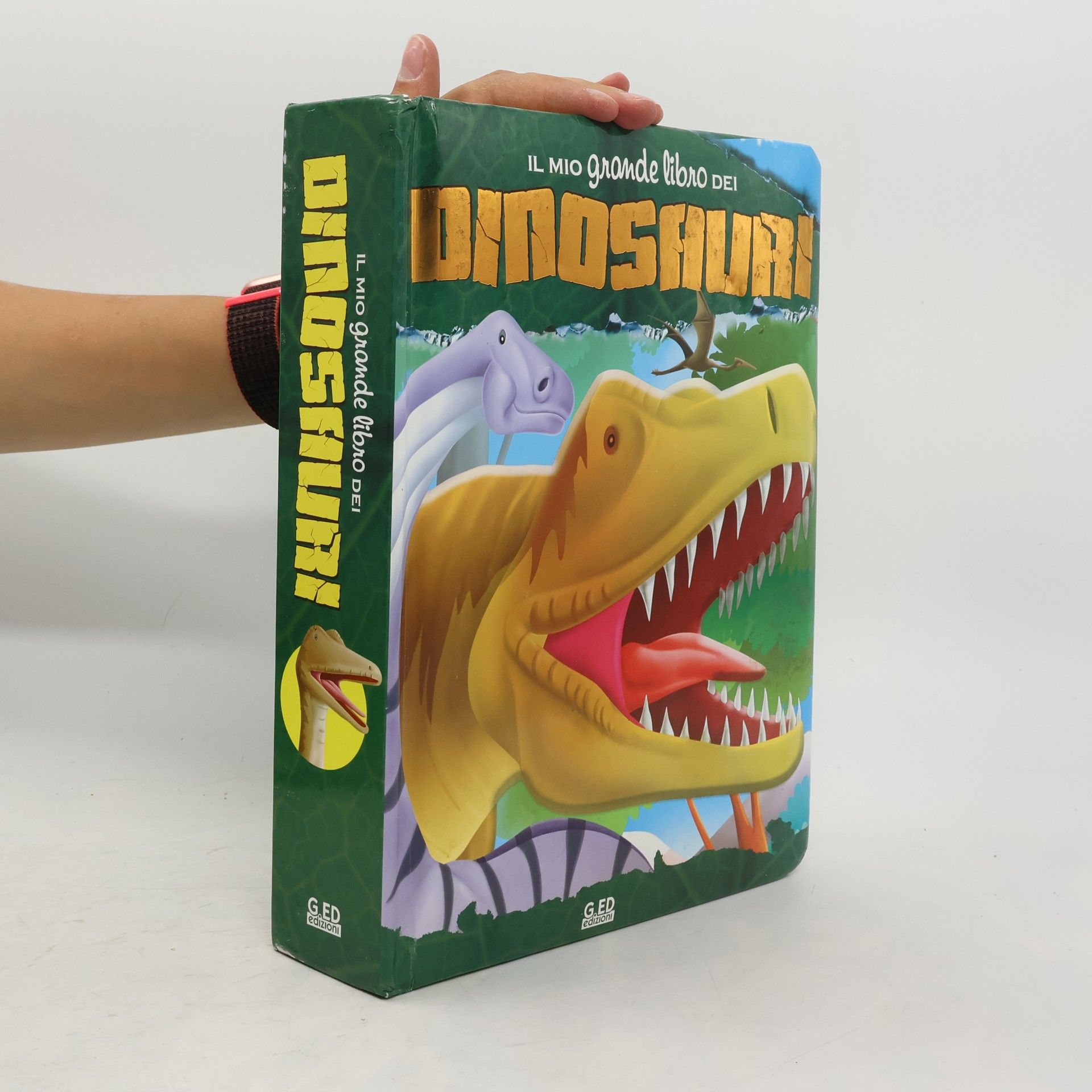 kolektiv Il mio grande libro dei dinosauri