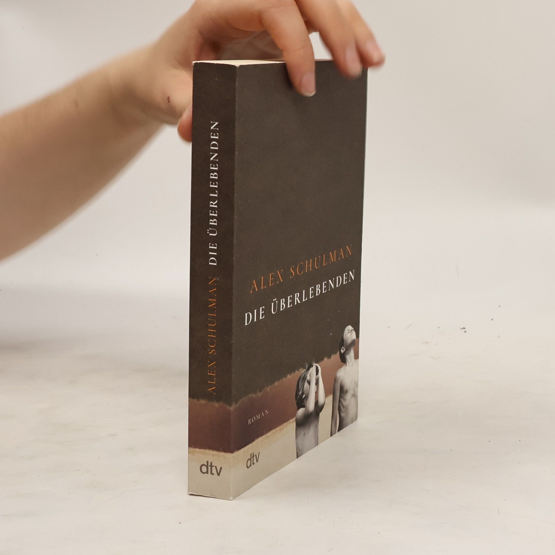 Alex Schulman Die Überlebenden