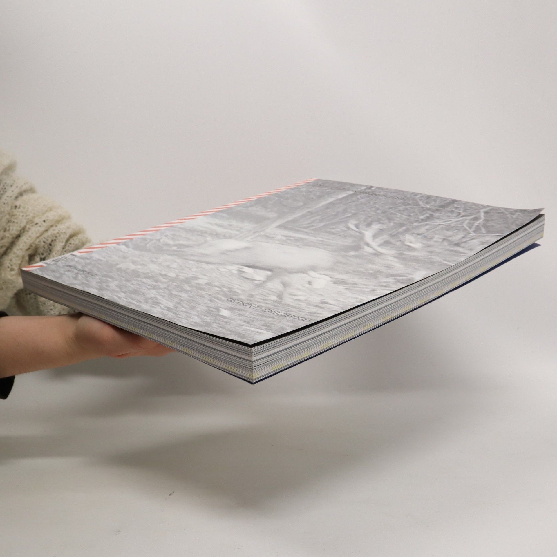 Kolektiv autorů Designblok magazine