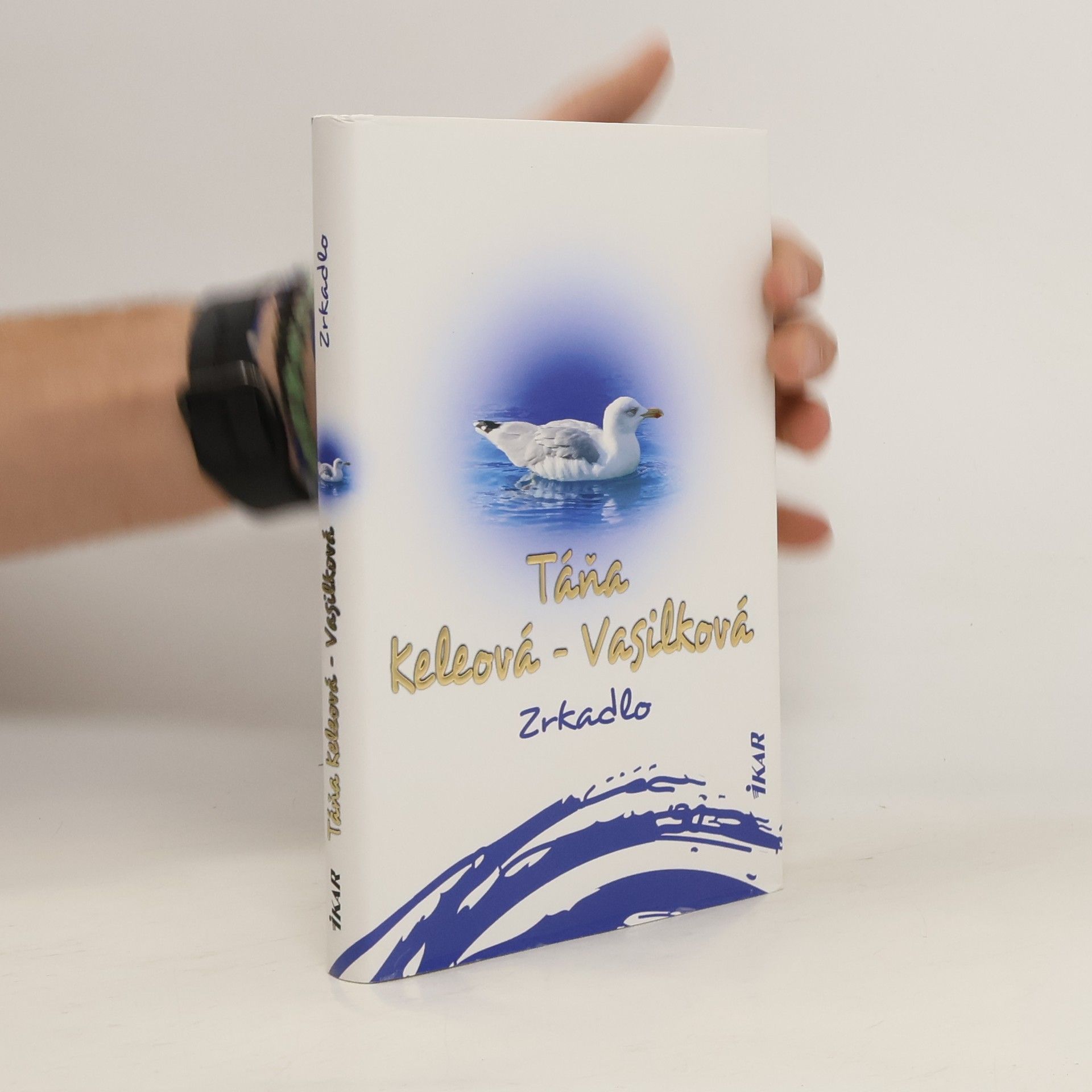 Táňa Keleová Vasilková Zrkadlo