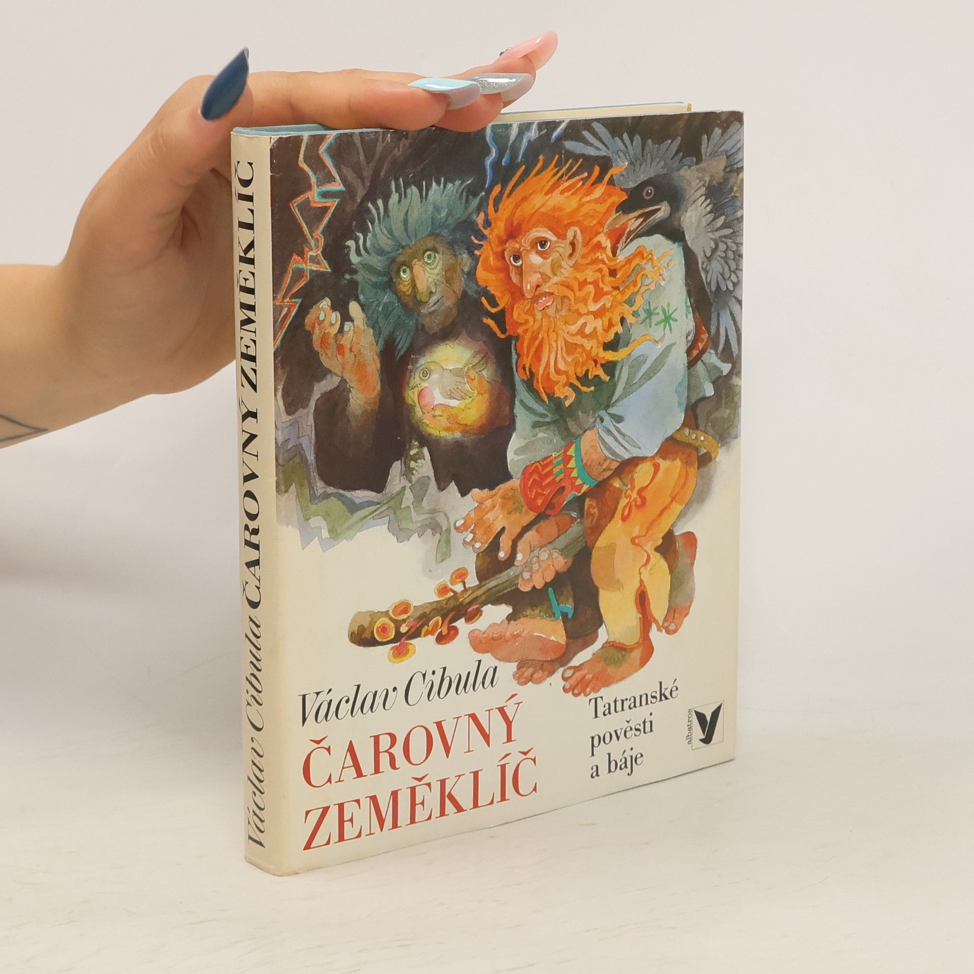 Václav Cibula Čarovný zeměklíč