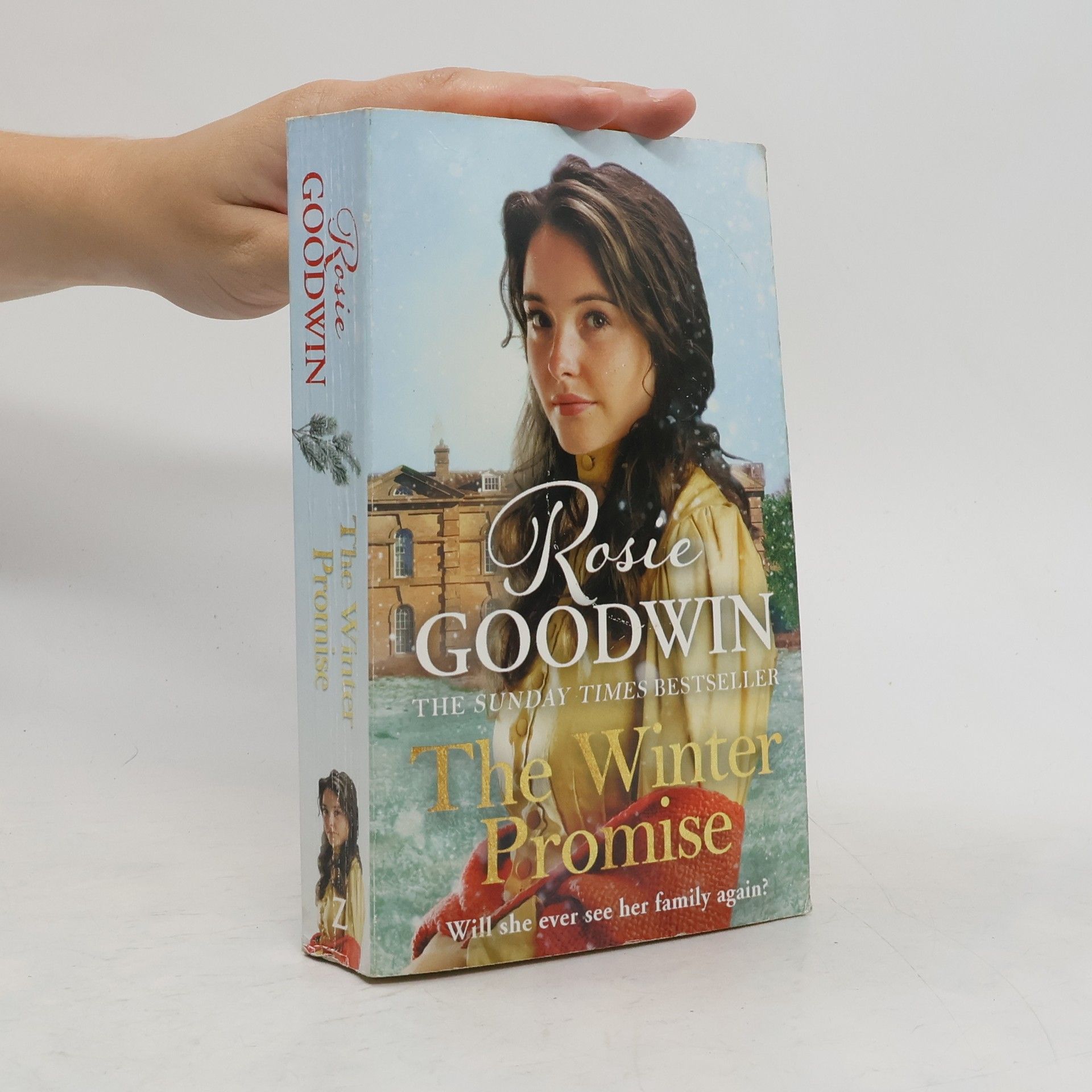 Rosie Goodwin The Winter Promise