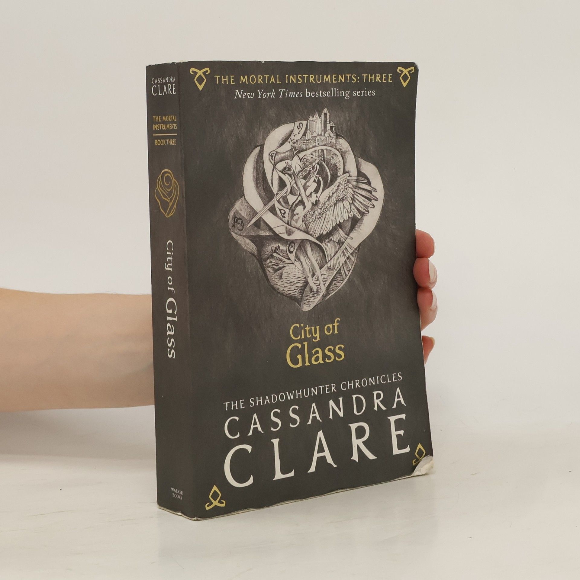 Cassandra Clare City of glass