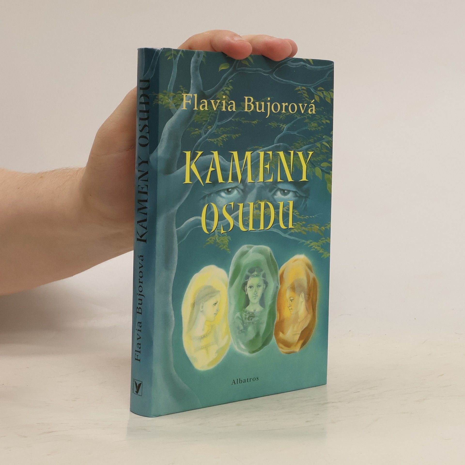 Flavia Bujor Kameny osudu