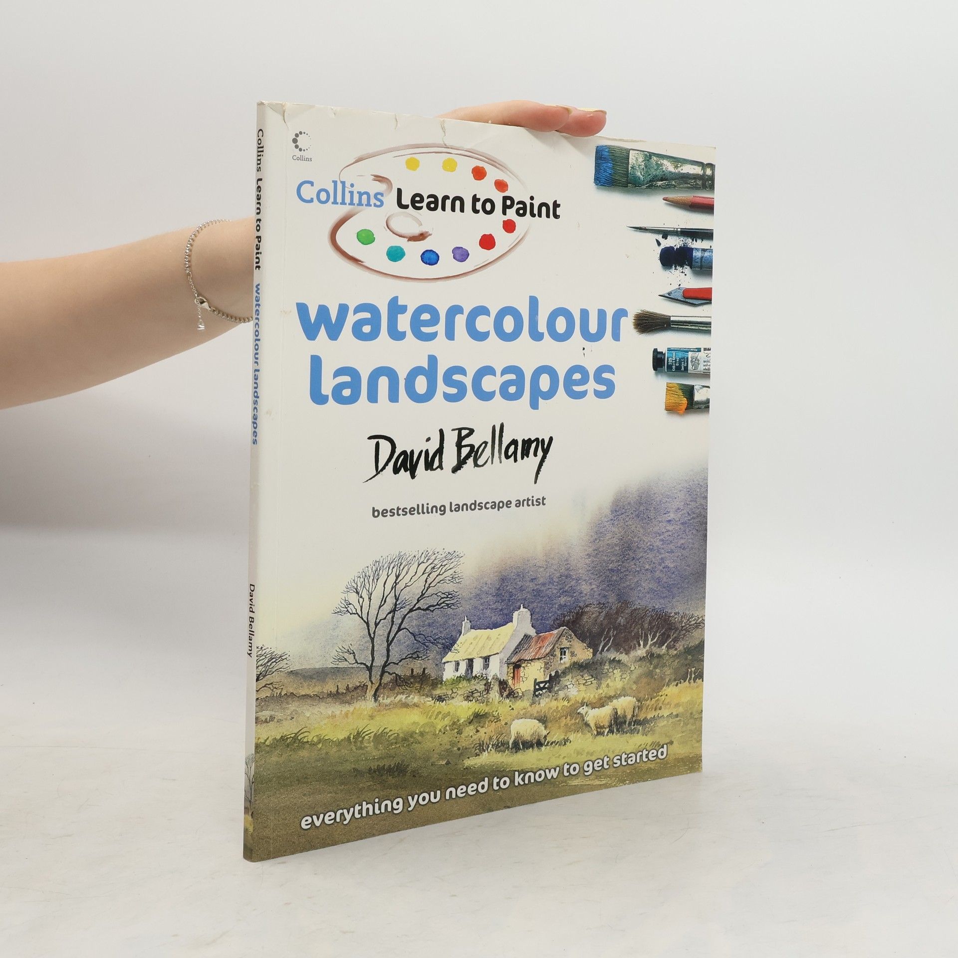 David Bellamy Learn to Paint: Watercolour Landscapes
