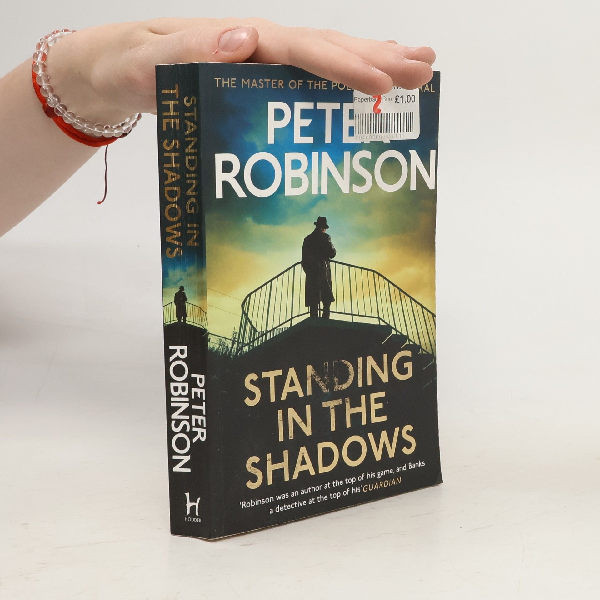 Peter Robinson Standing in the Shadows