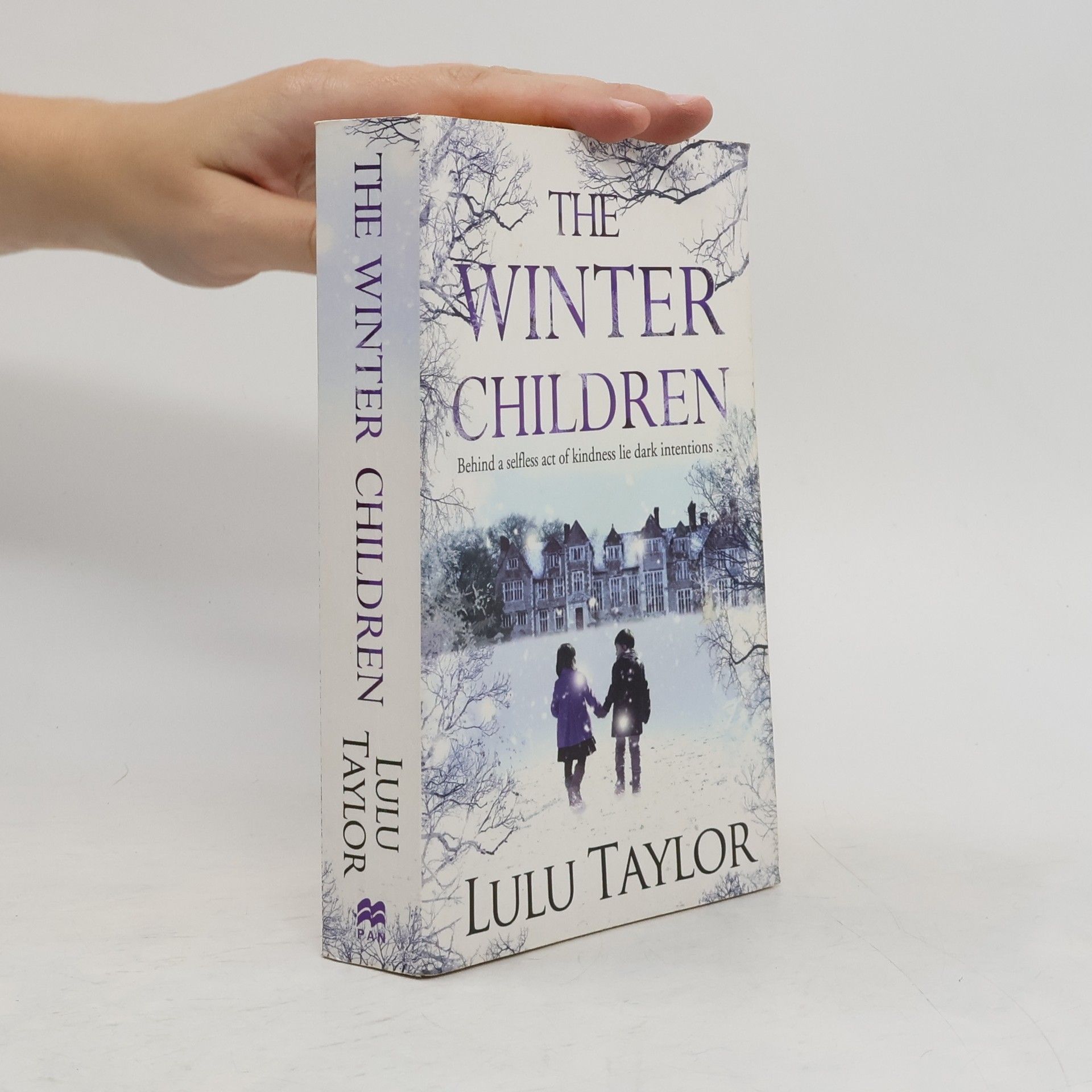 Lulu Taylor The Winter Children