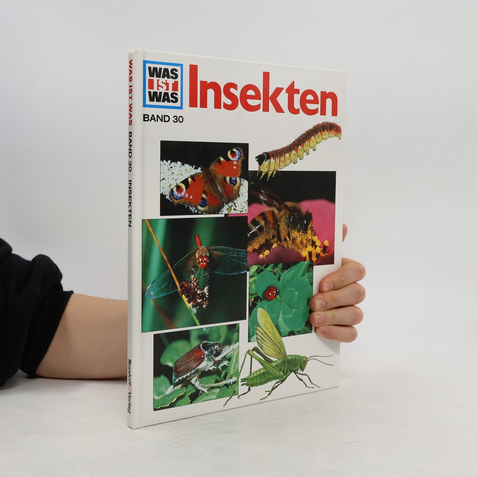 Sabine Steghaus Kovac Insekten