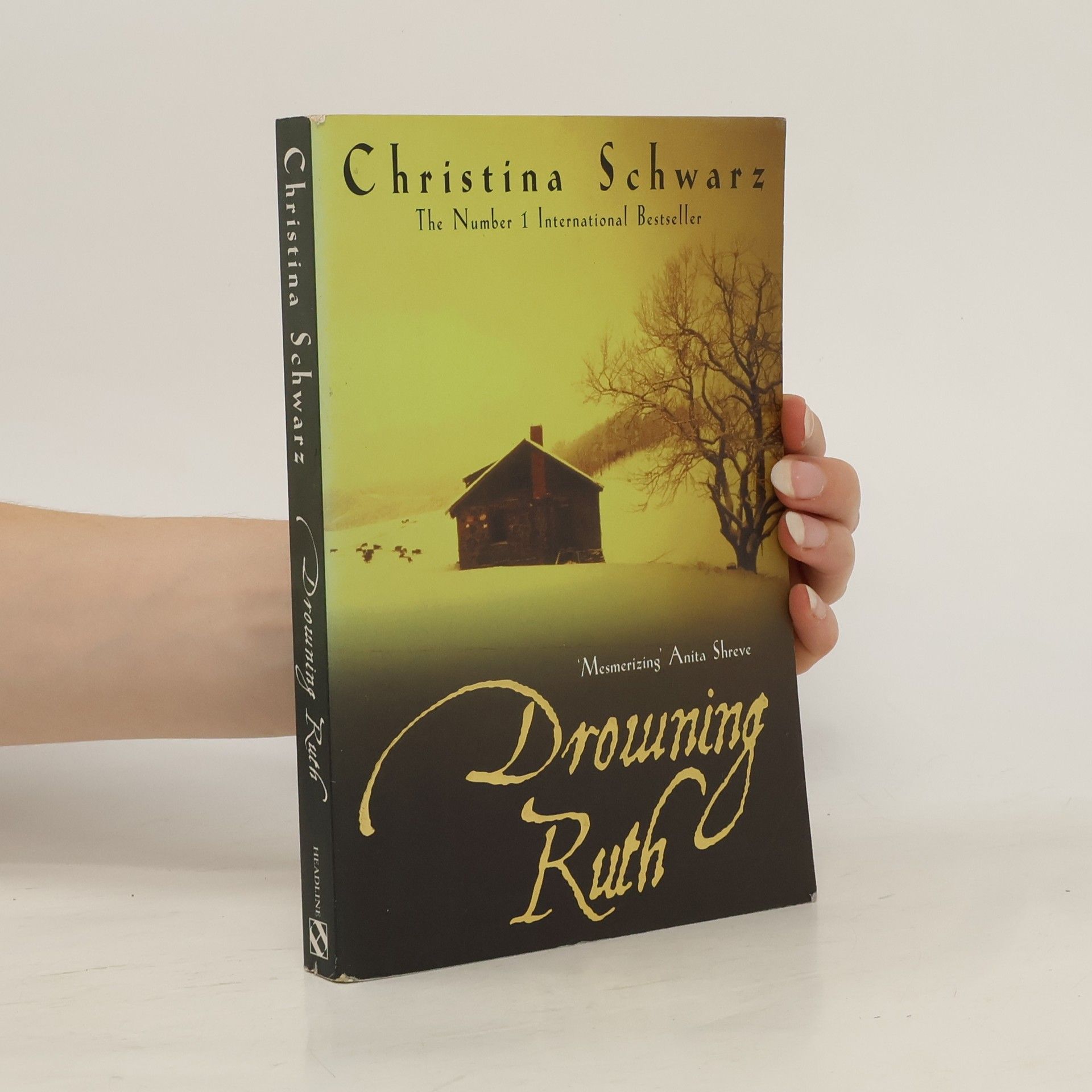 Christina Schwarz Drowning Ruth (Oprah's Book Club)