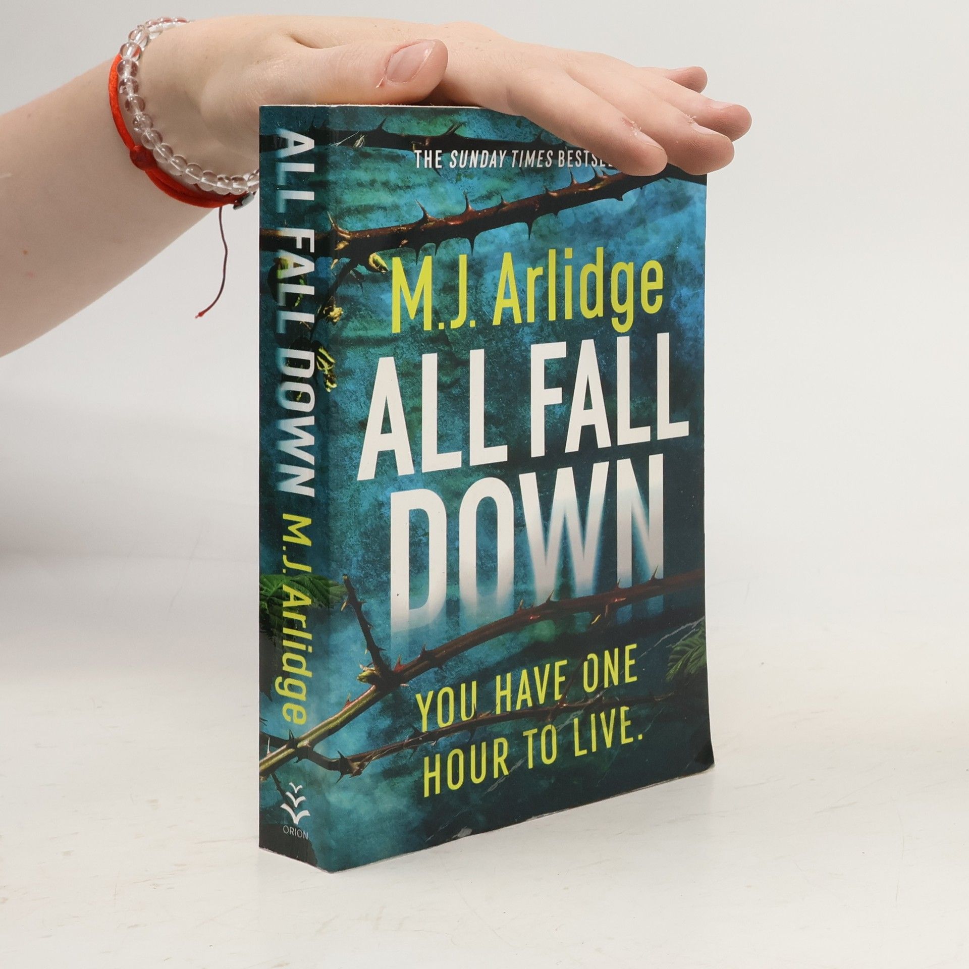 M. J. Arlidge All Fall Down