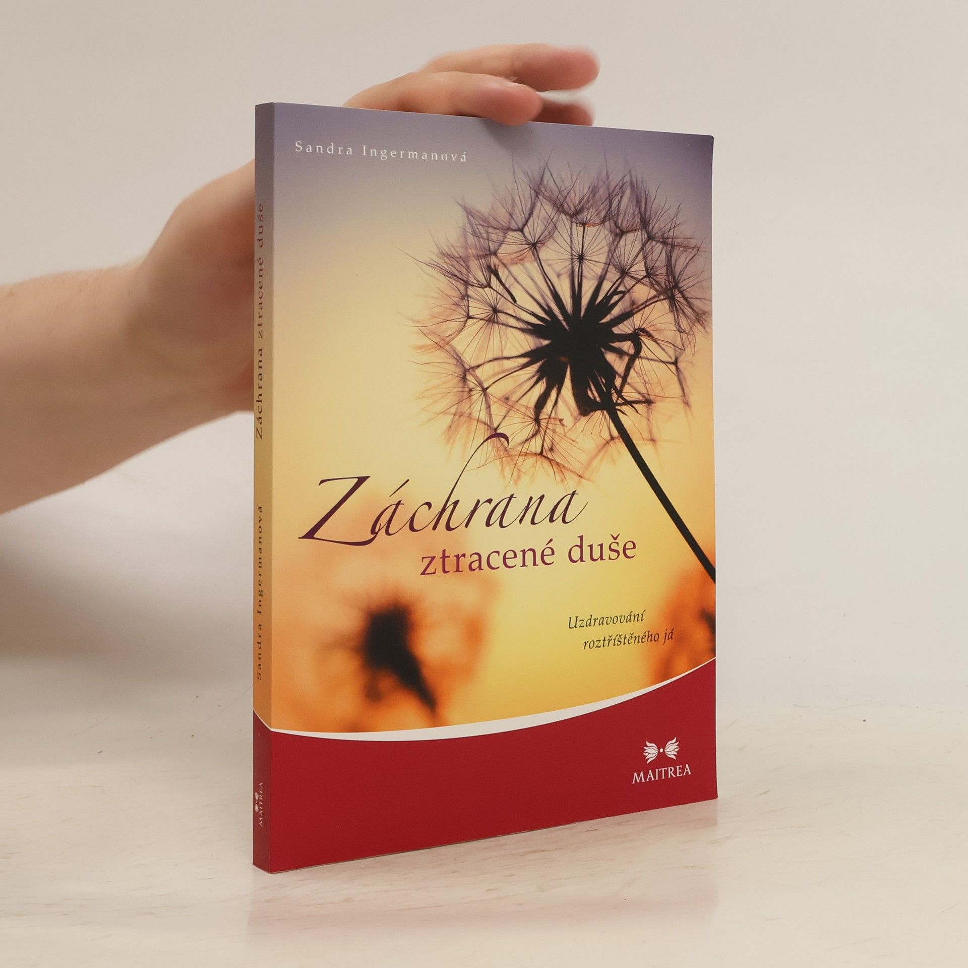Sandra Ingerman Záchrana ztracené duše. Uzdravování roztříštěného já