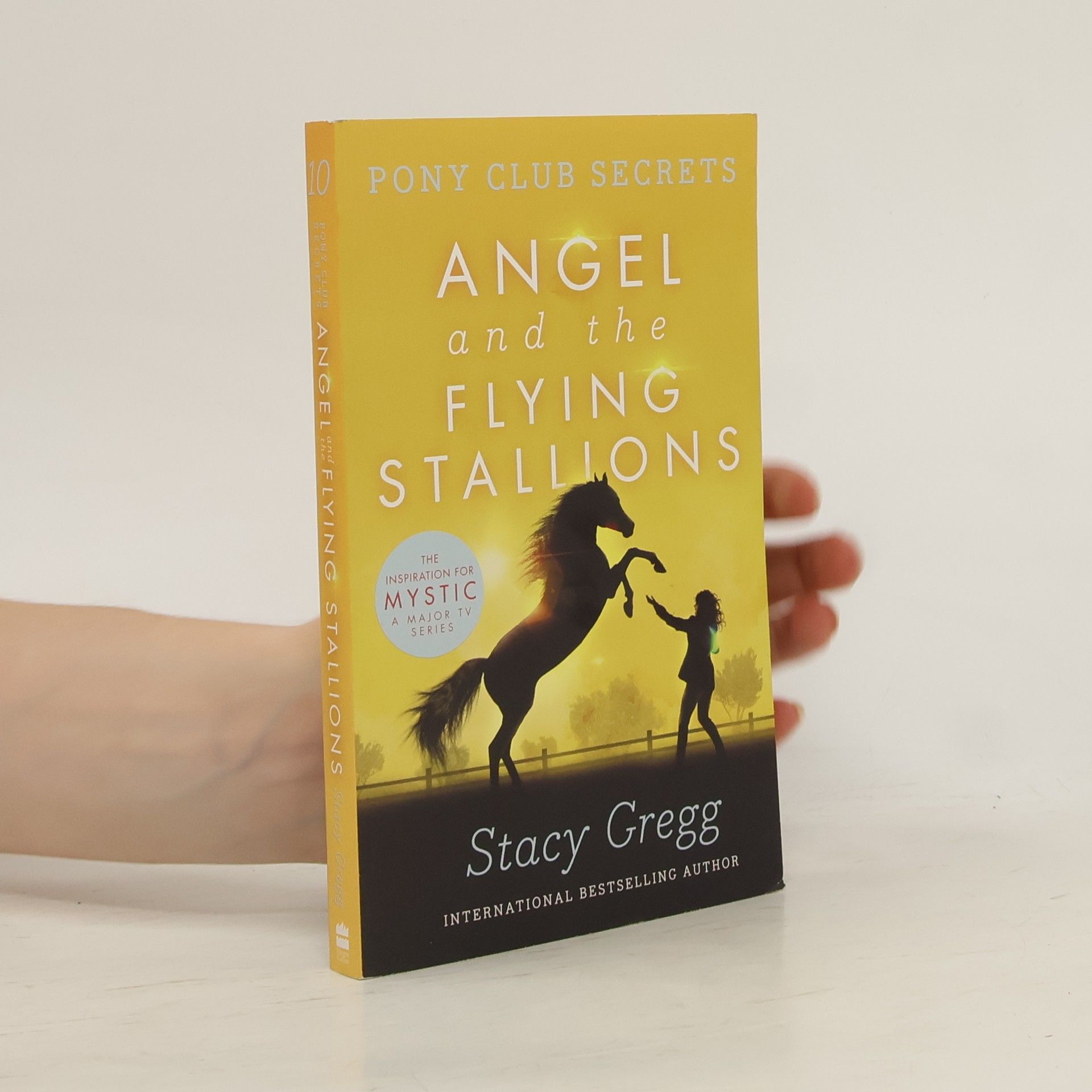 Stacy Gregg Angel and the Flying Stallions