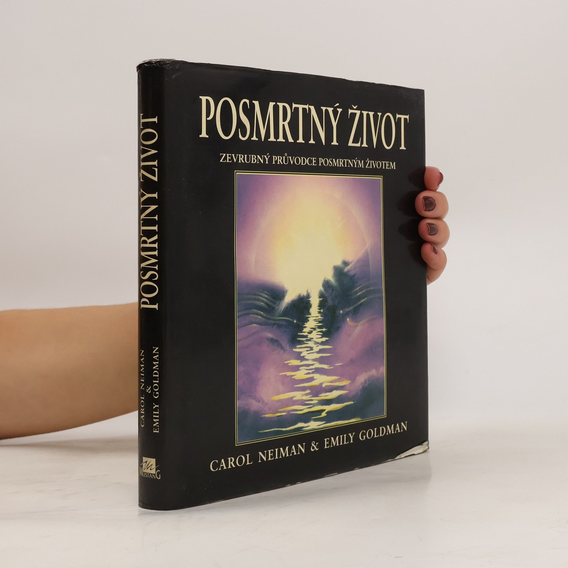 Carol Neiman Posmrtný život. Zevrubný průvodce posmrtným životem