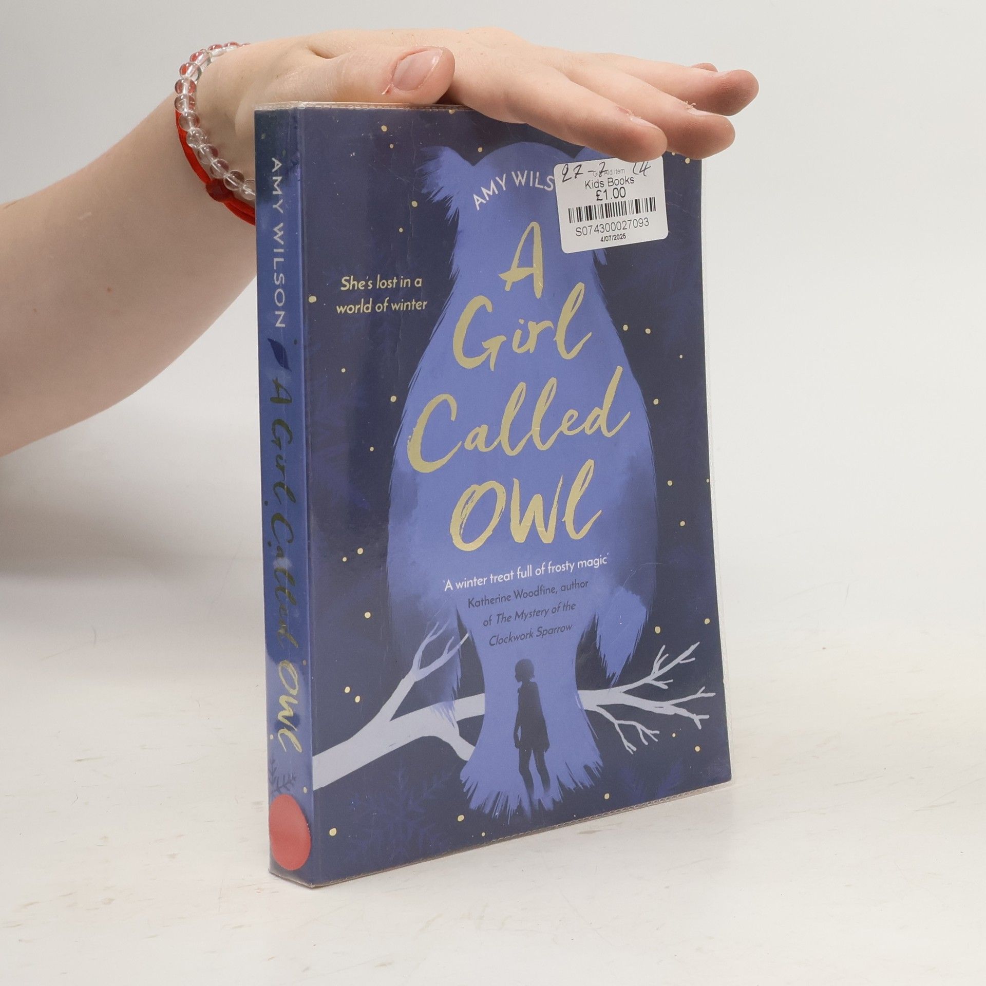 Amy Wilson A Girl Called Owl