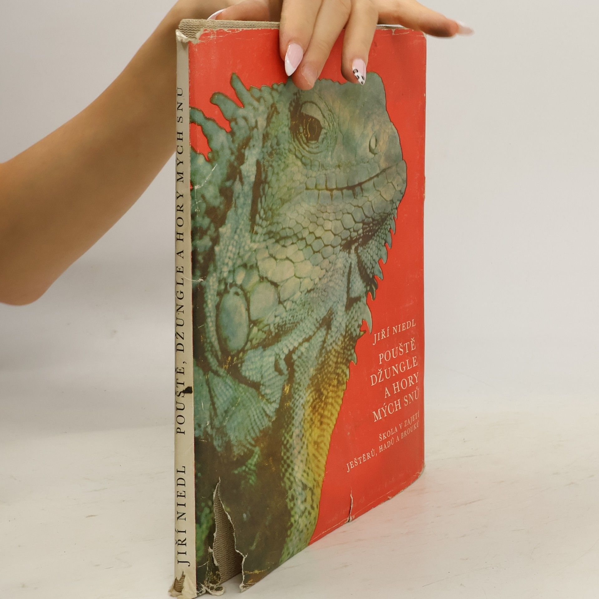 Pouště, džungle a hory mých snů. Škola v zajetí ještěrů, hadů a brouků