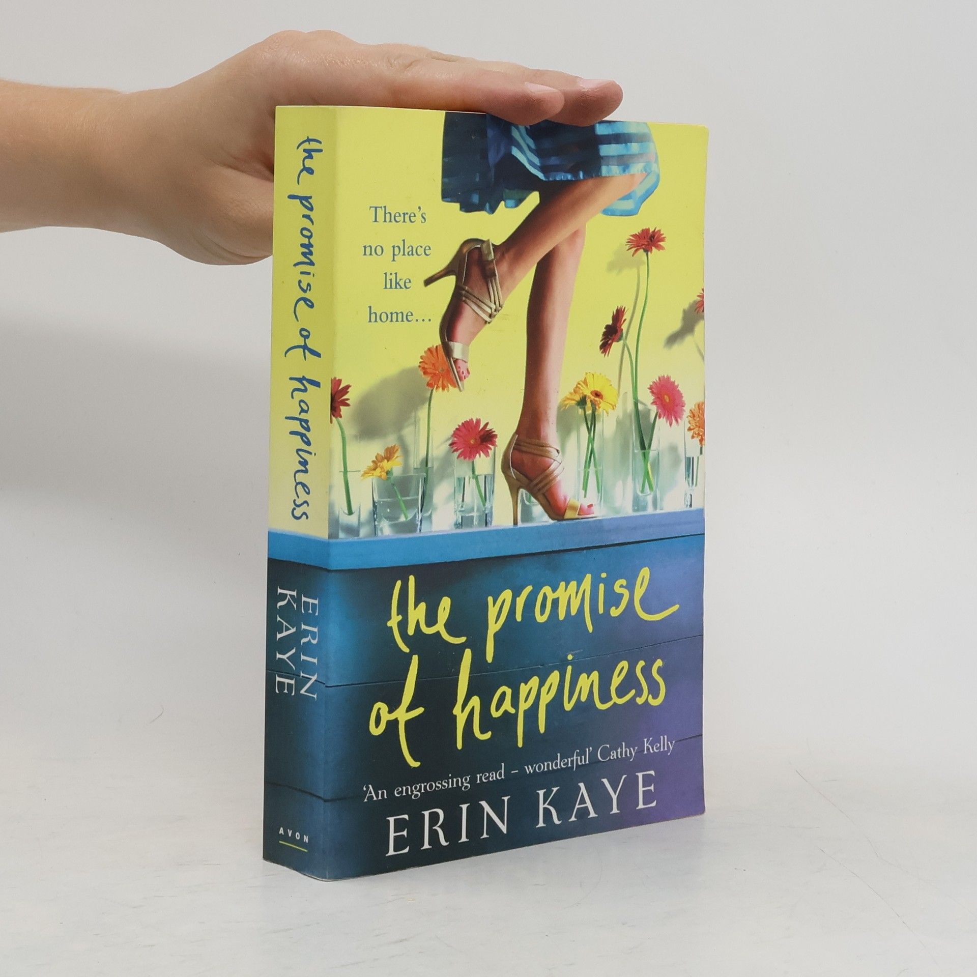 Erin Kaye The Promise of Happiness