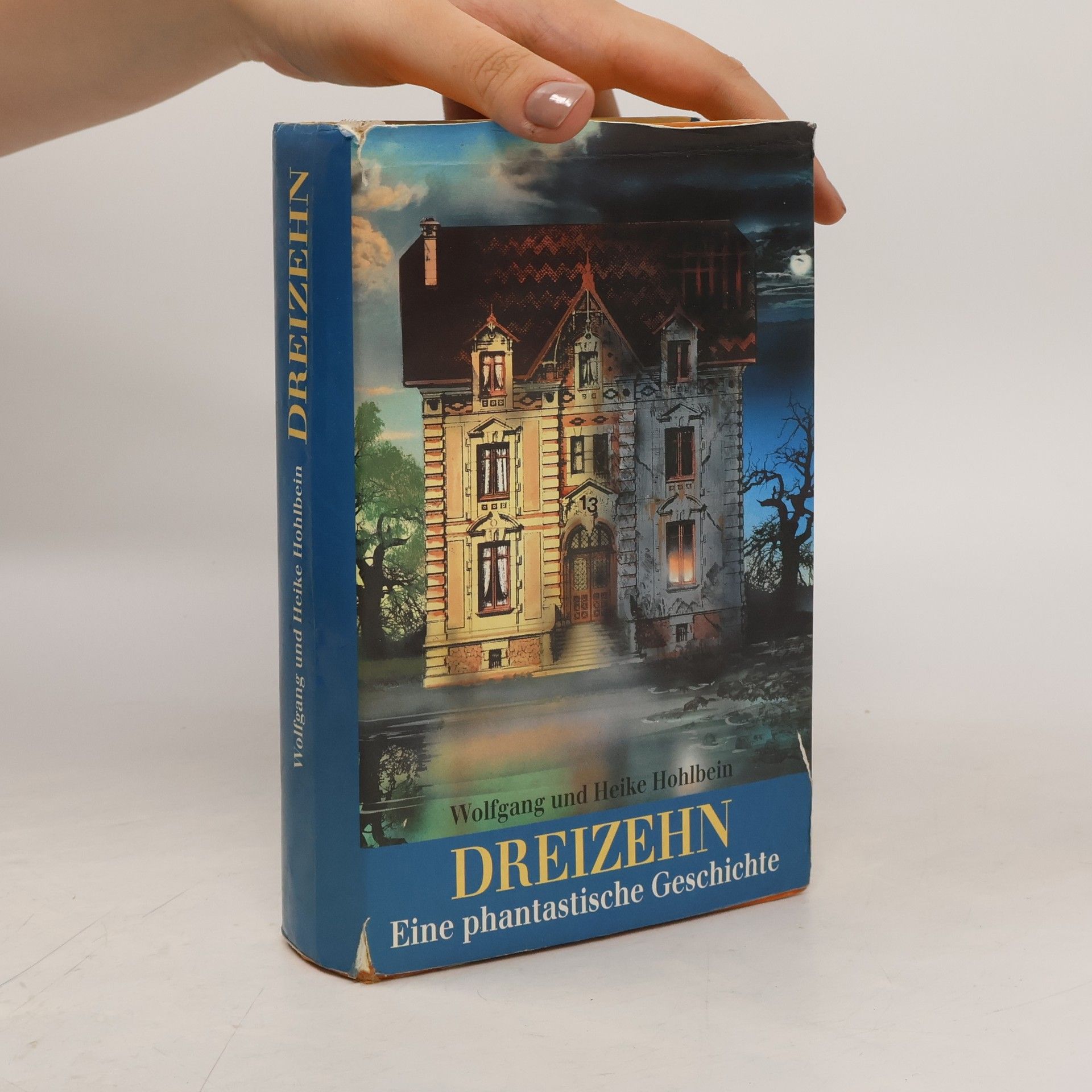 Wolfgang Hohlbein Dreizehn. Eine phantastische Geschichte