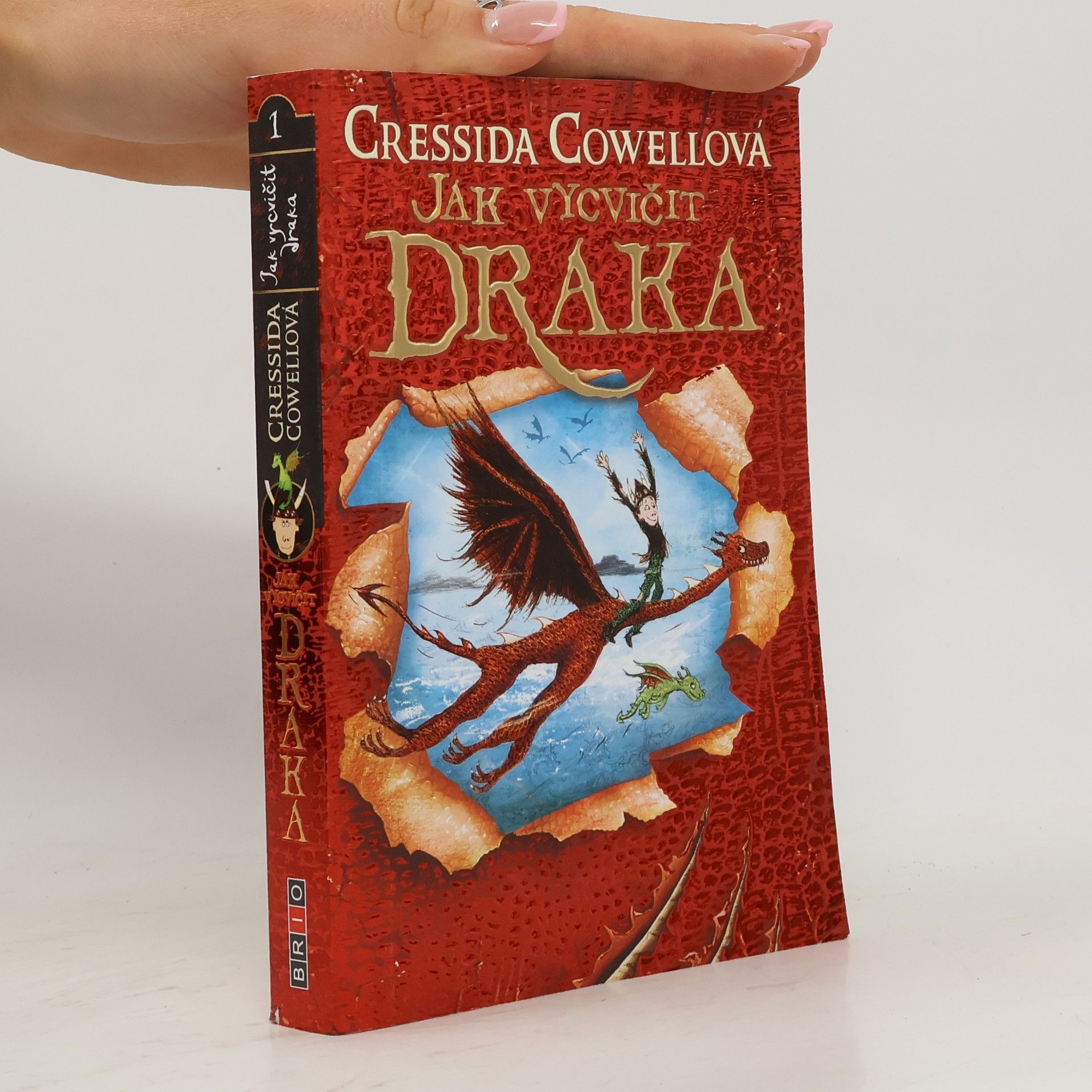 Cressida Cowell Jak vycvičit draka 1