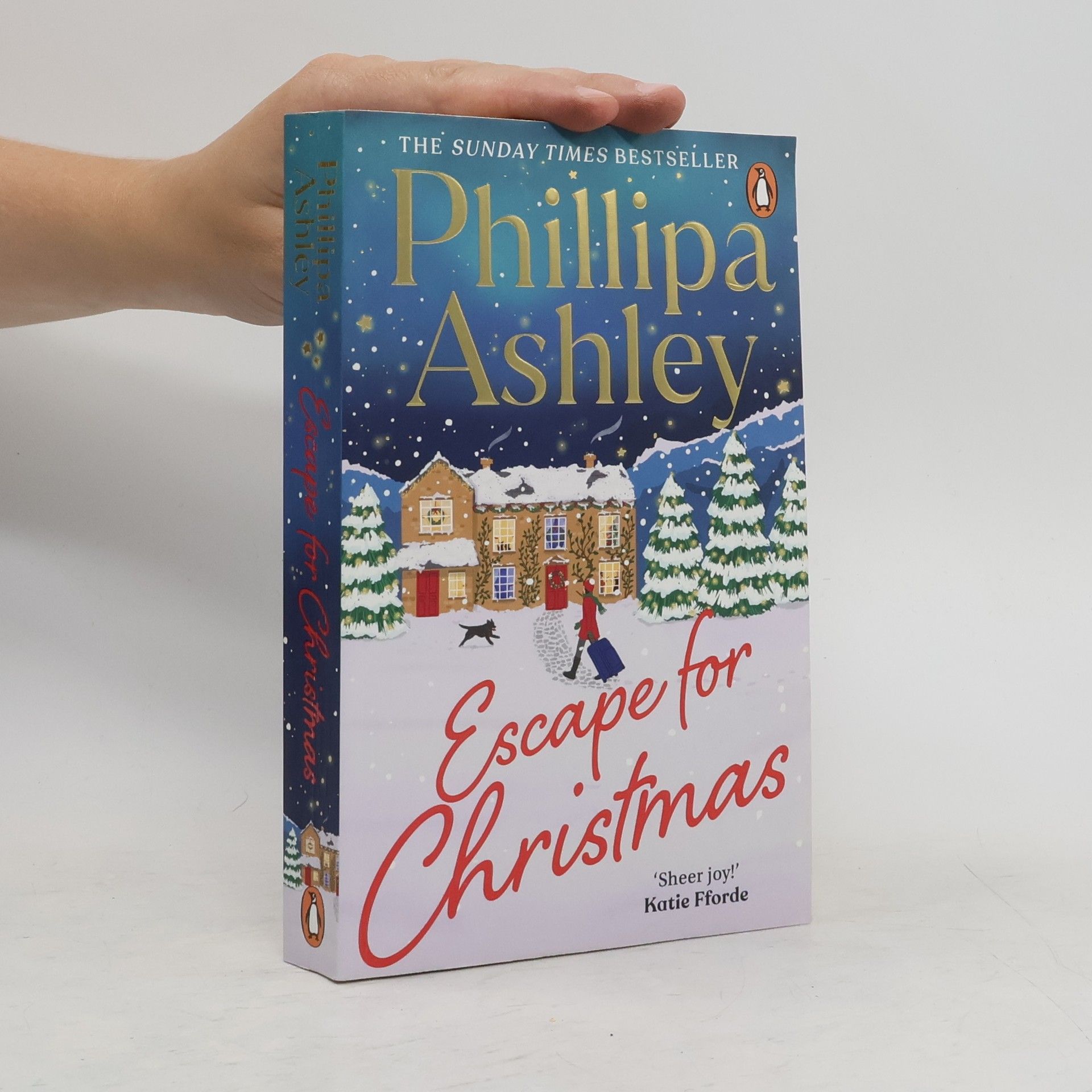 Phillipa Ashley Escape for Christmas