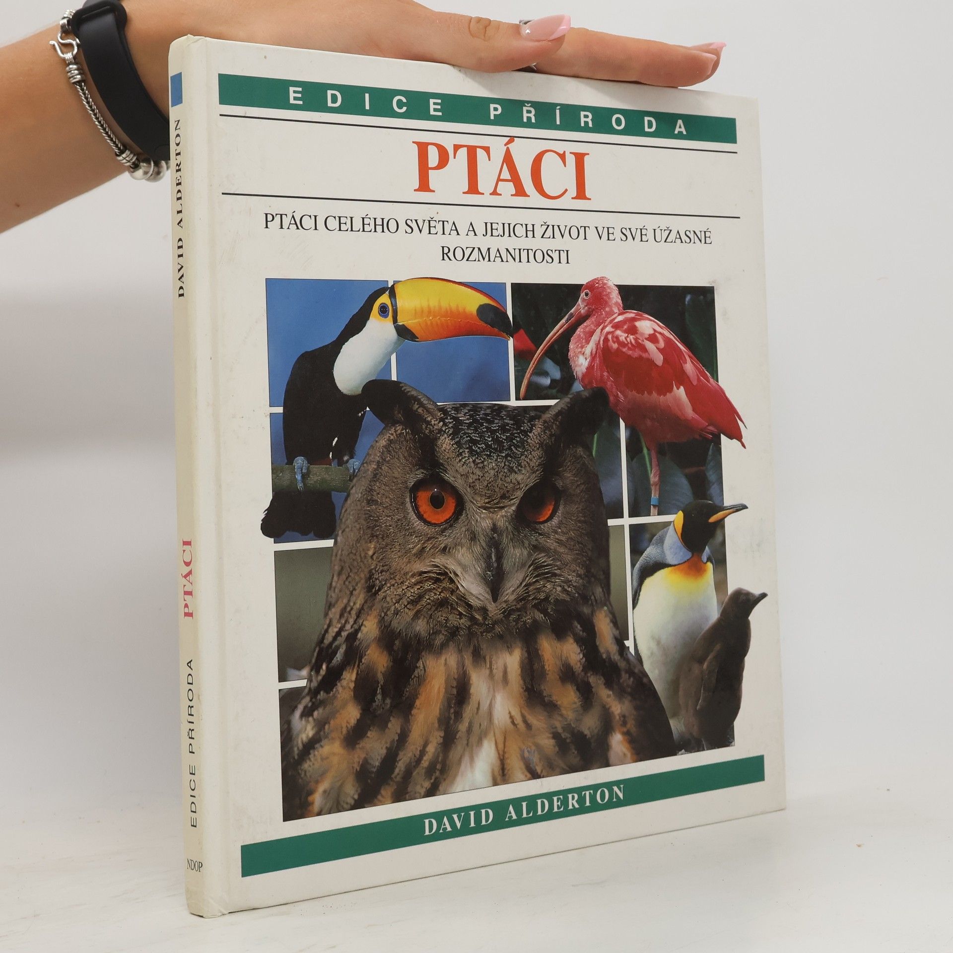 David Alderton Ptáci