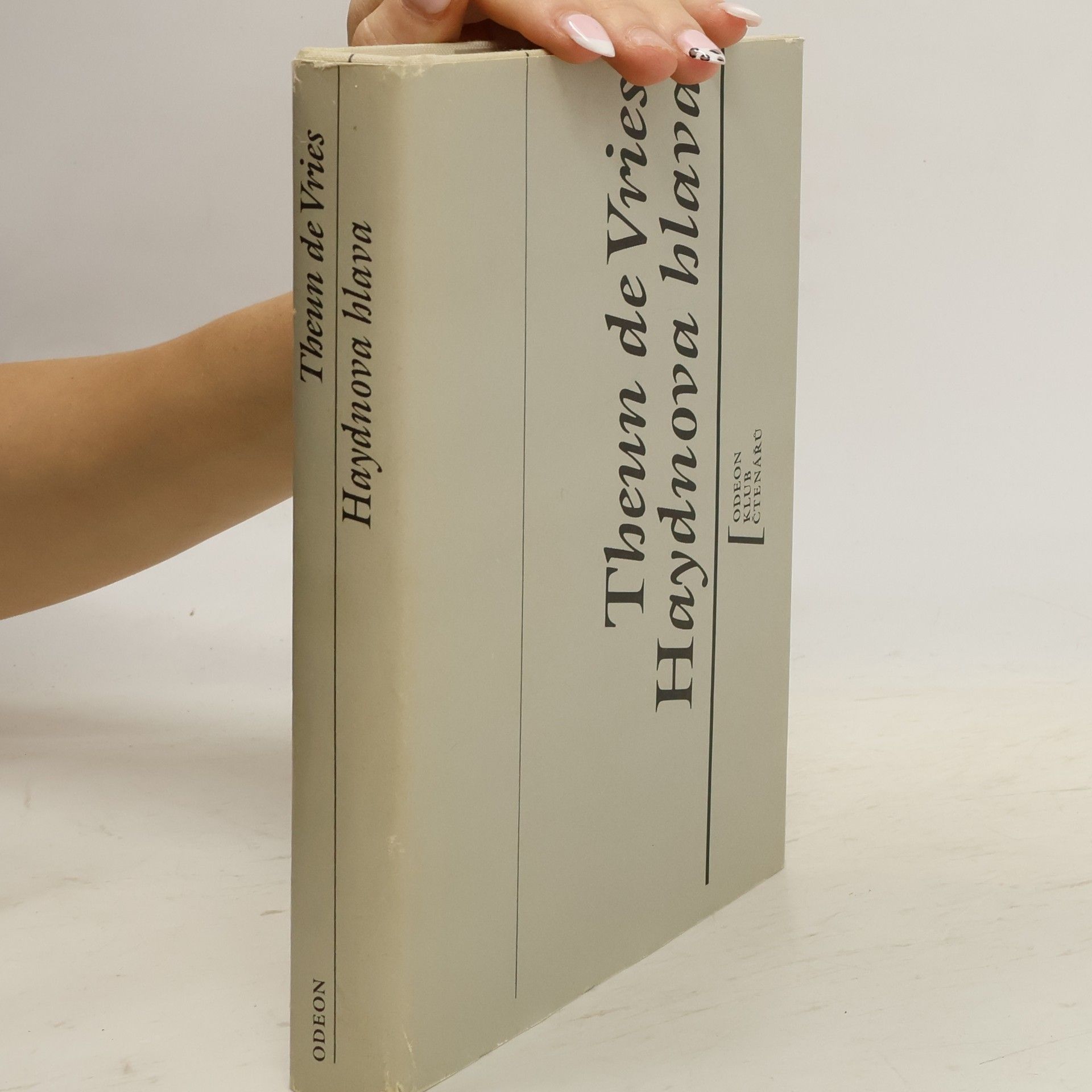 Theun de Vries Haydnova hlava