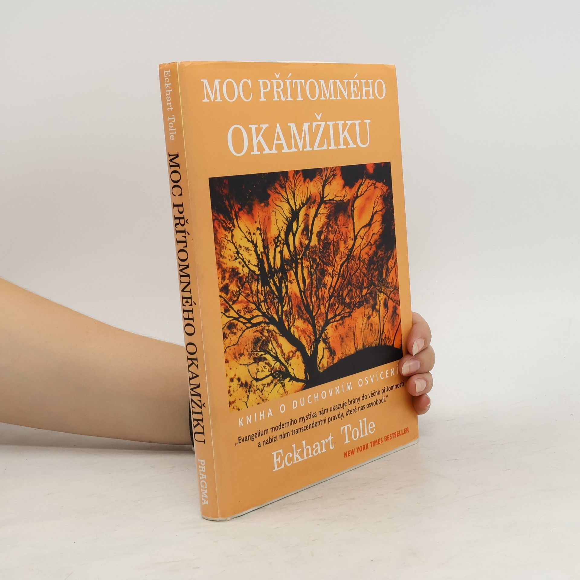 Eckhart Tolle Moc přítomného okamžiku