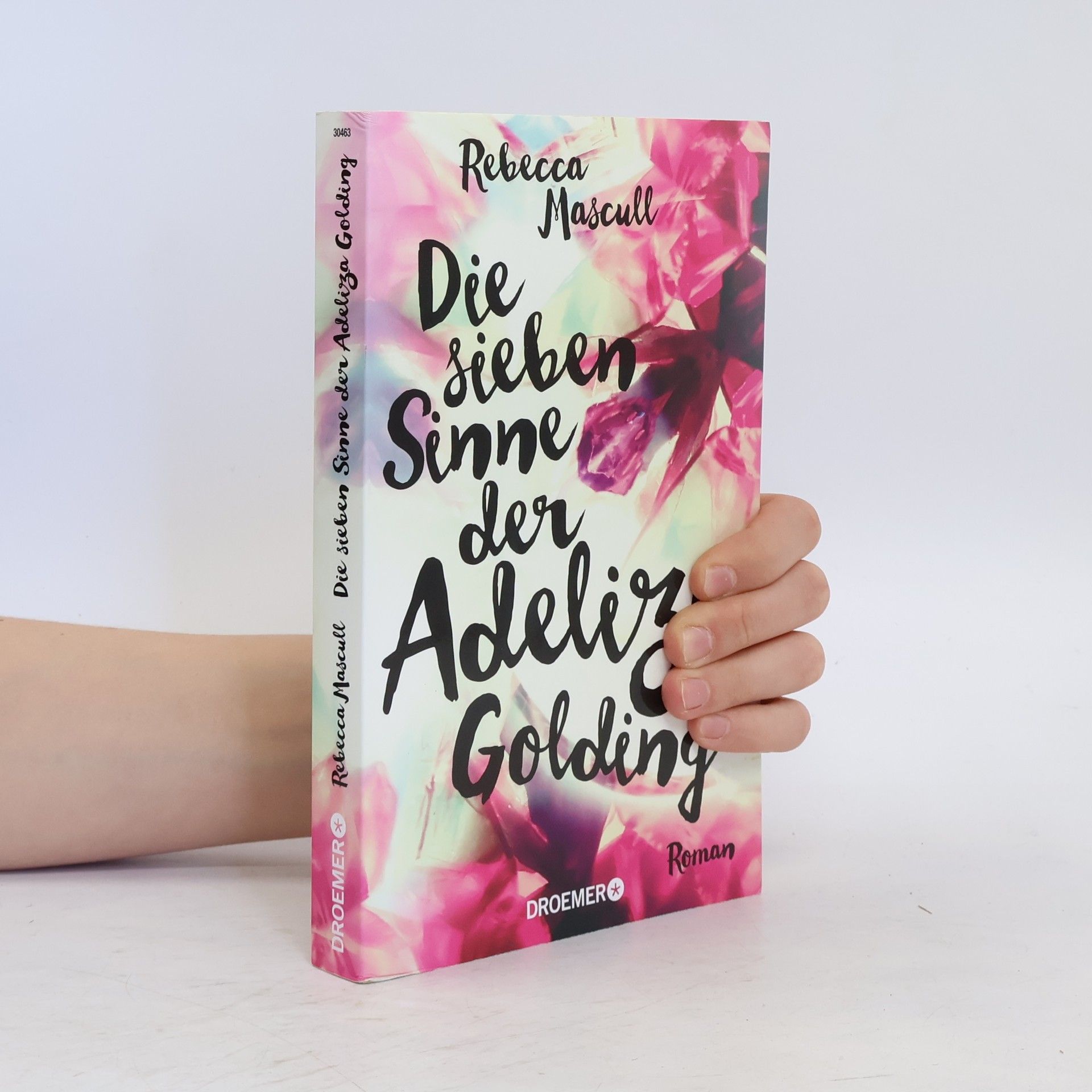 Rebecca Mascull Die sieben Sinne der Adeliza Golding