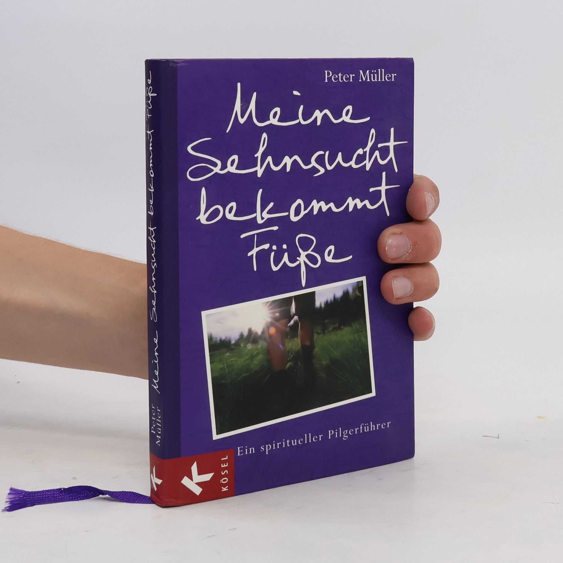 Peter Müller Meine Sehnsucht bekommt Füße